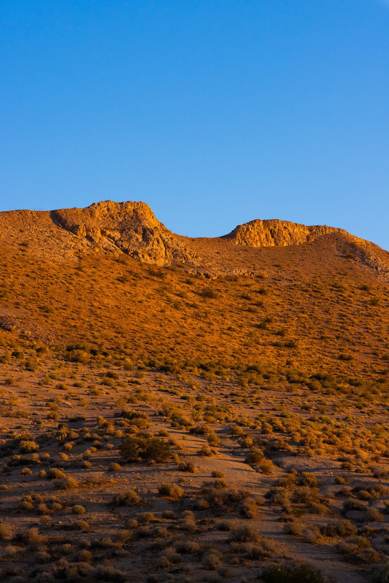 f/8  |  1/640  |  95mm