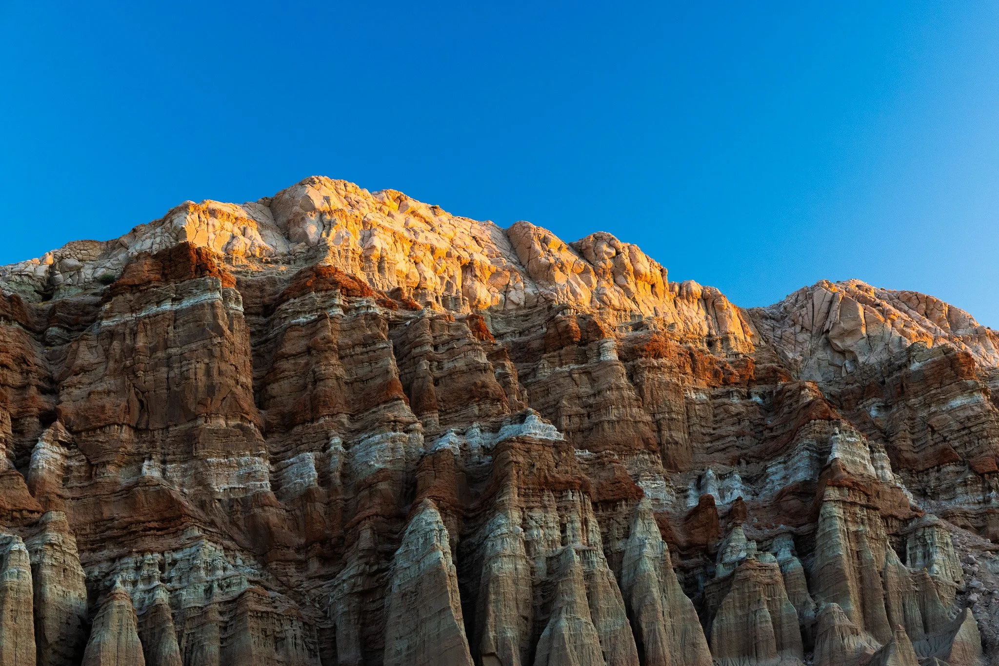 f/8  |  1/80  |  63mm