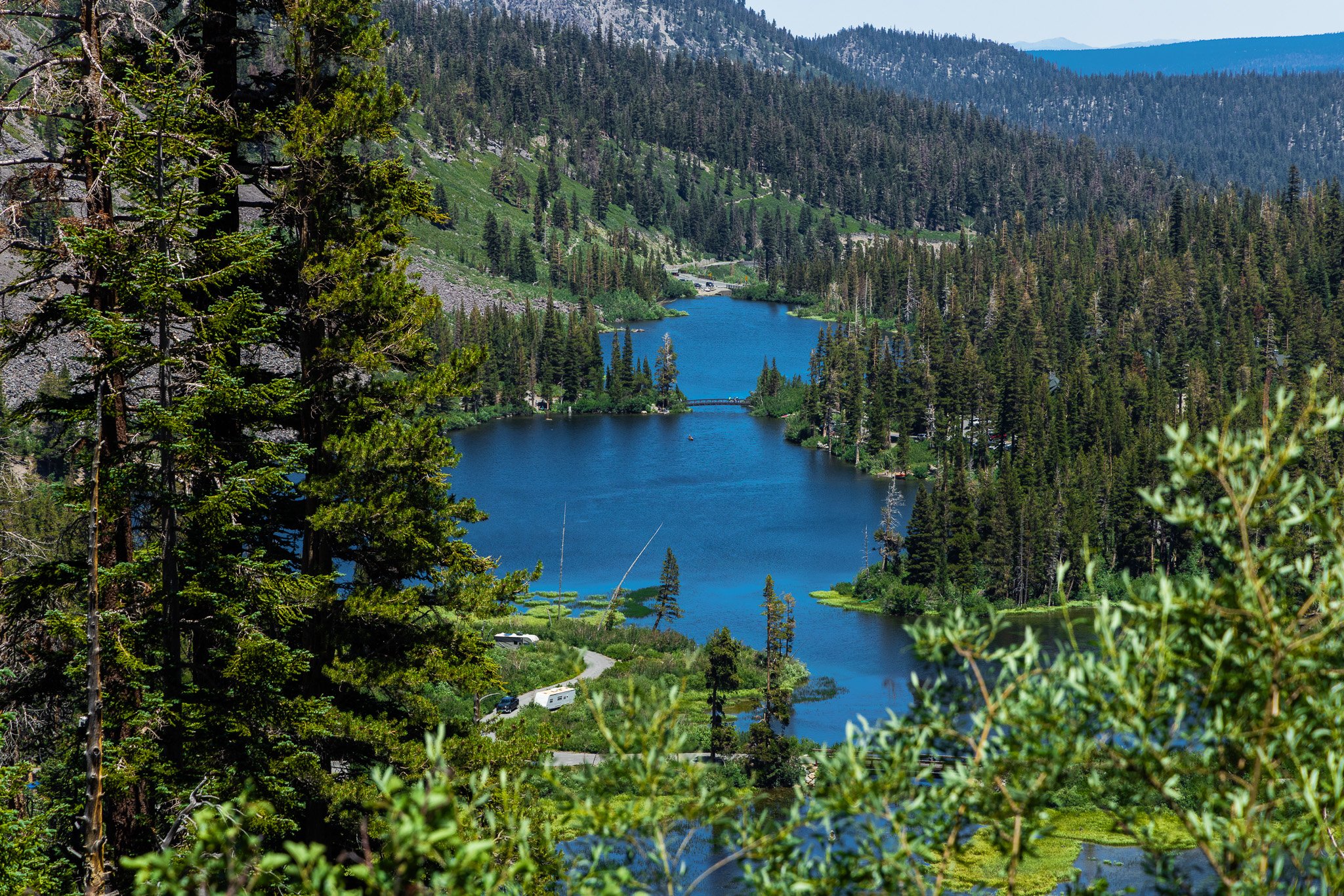 f/8  |  1/500  |  105mm