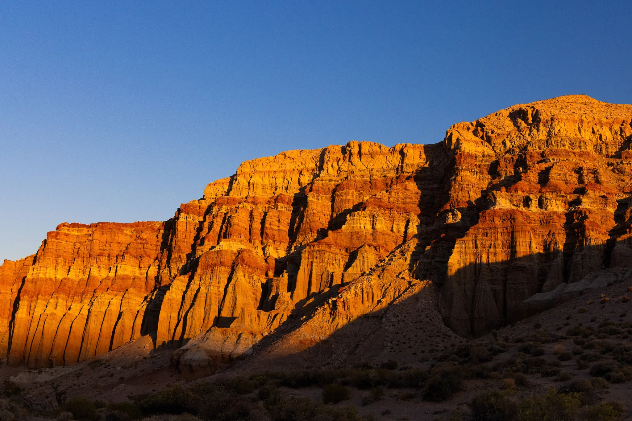 f/8  |  1/640  |  40mm