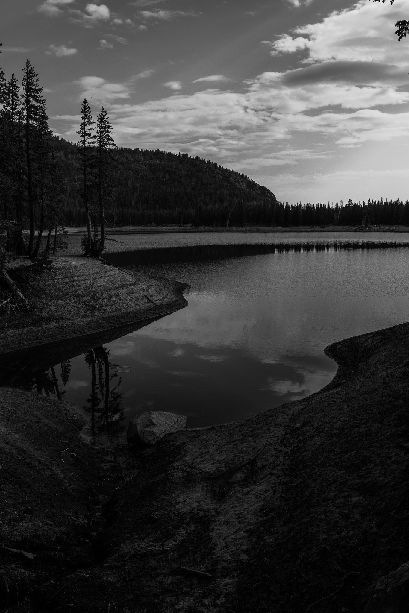 f/8  |  1/400  |  35mm