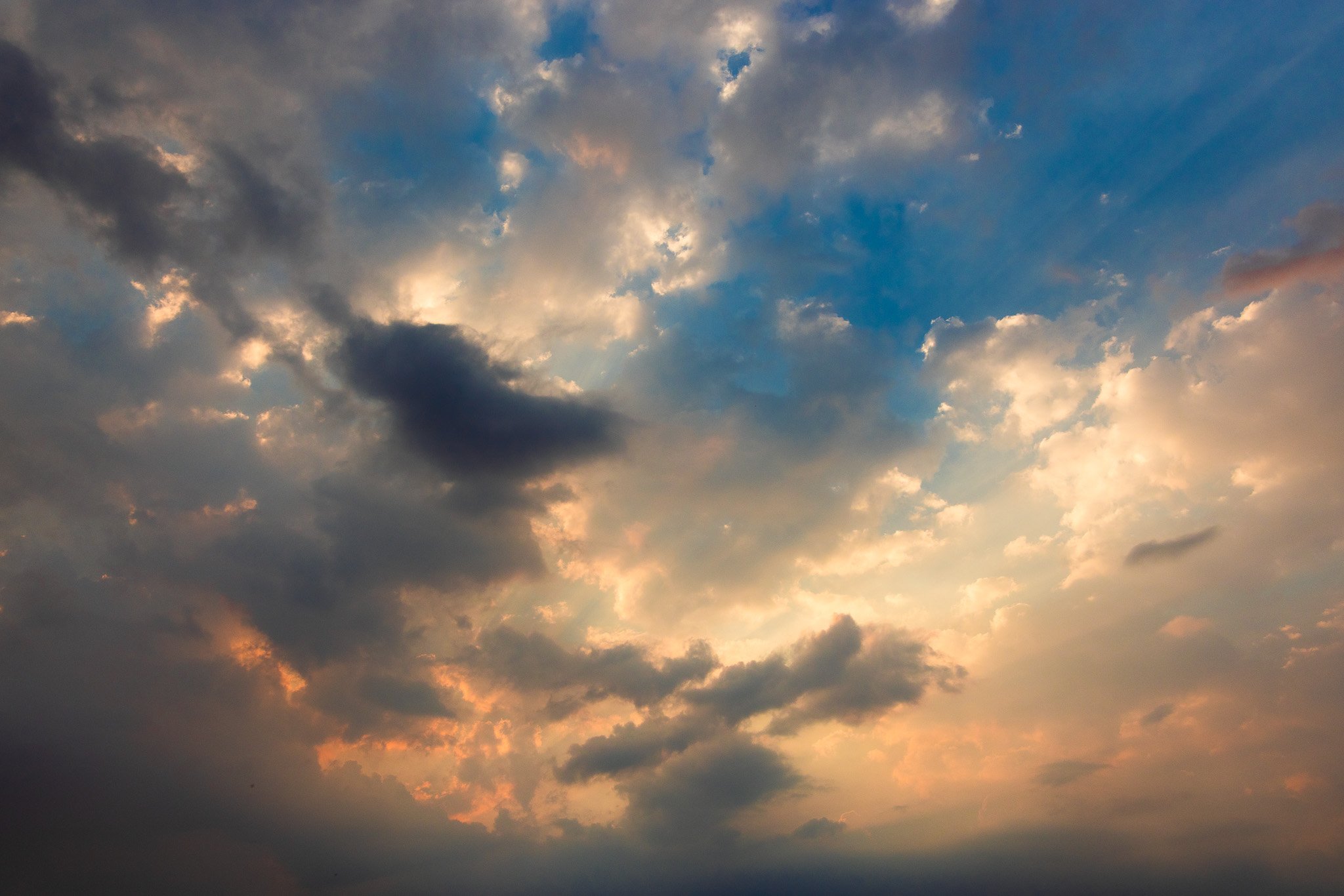 f/8  |  1/400  |  31mm