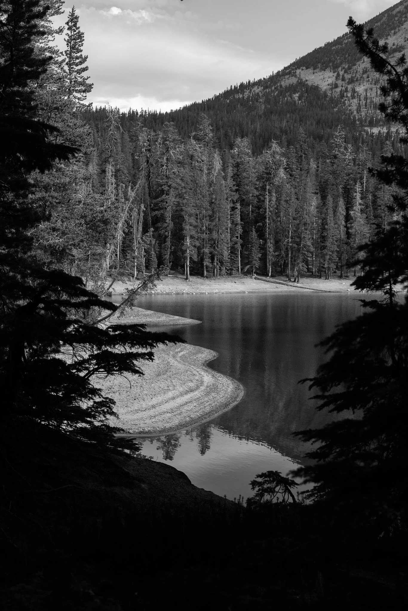 f/8  |  1/125  |  63mm