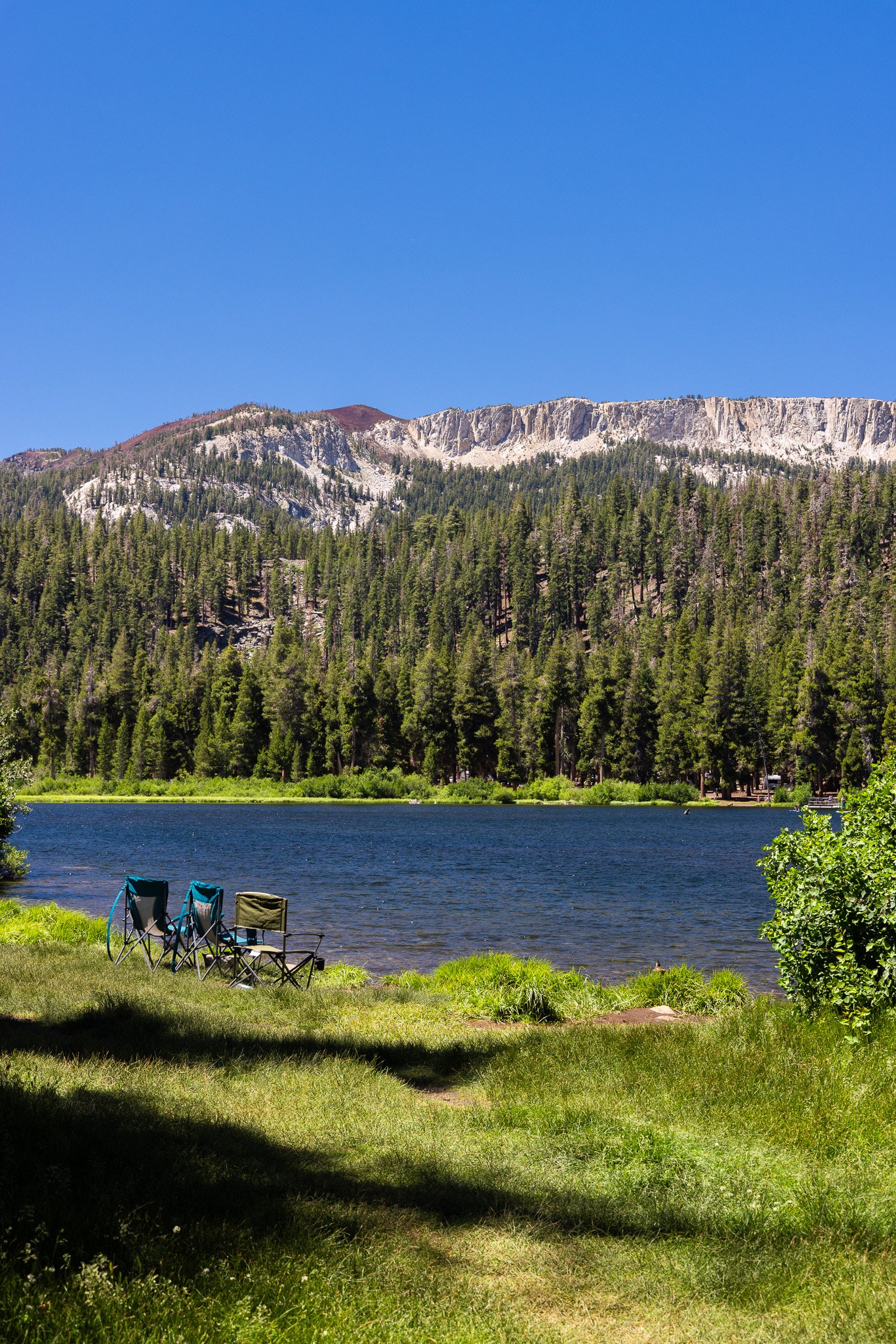 f/8  |  1/125  |  56mm