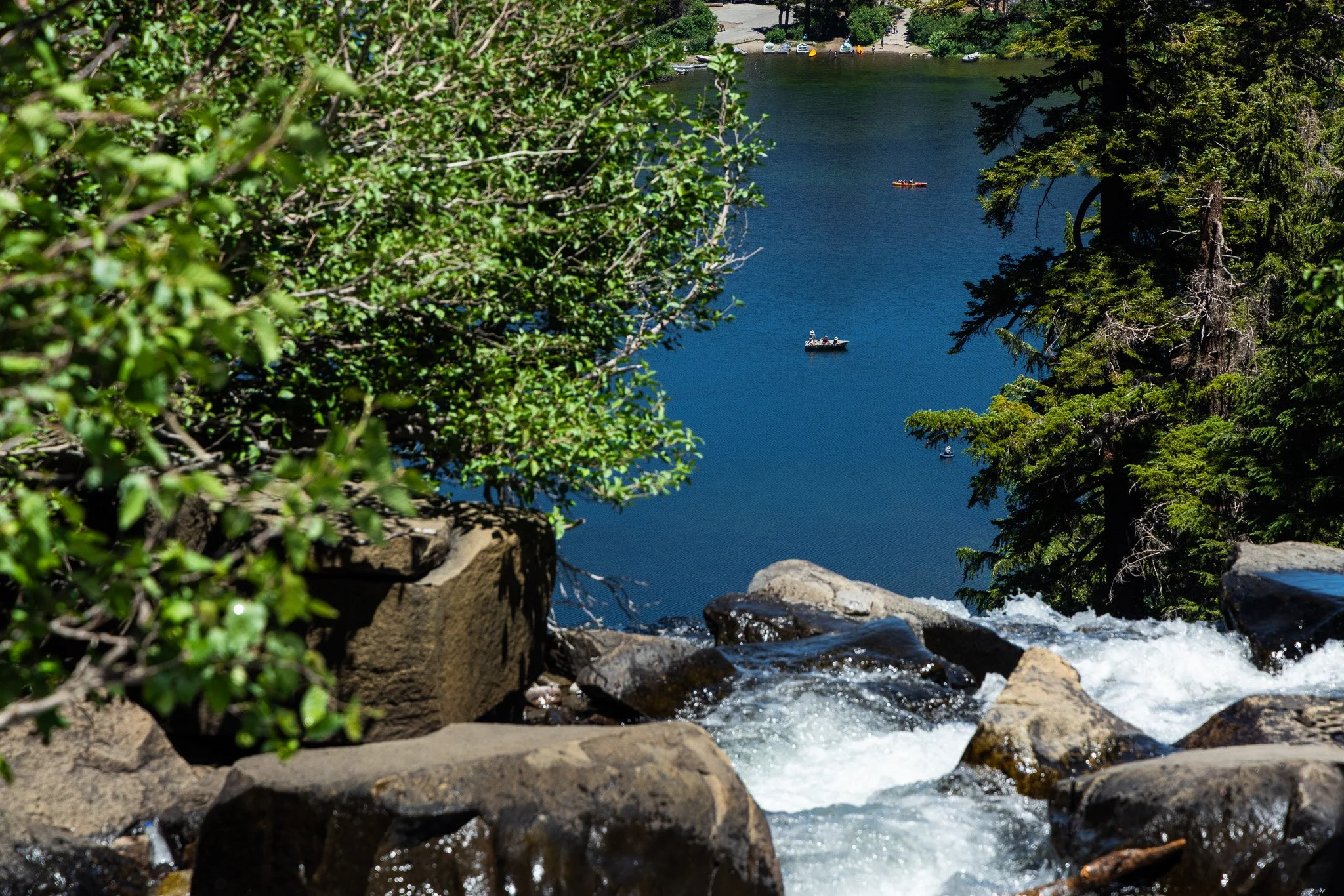 f/8  |  1/500  |  105mm