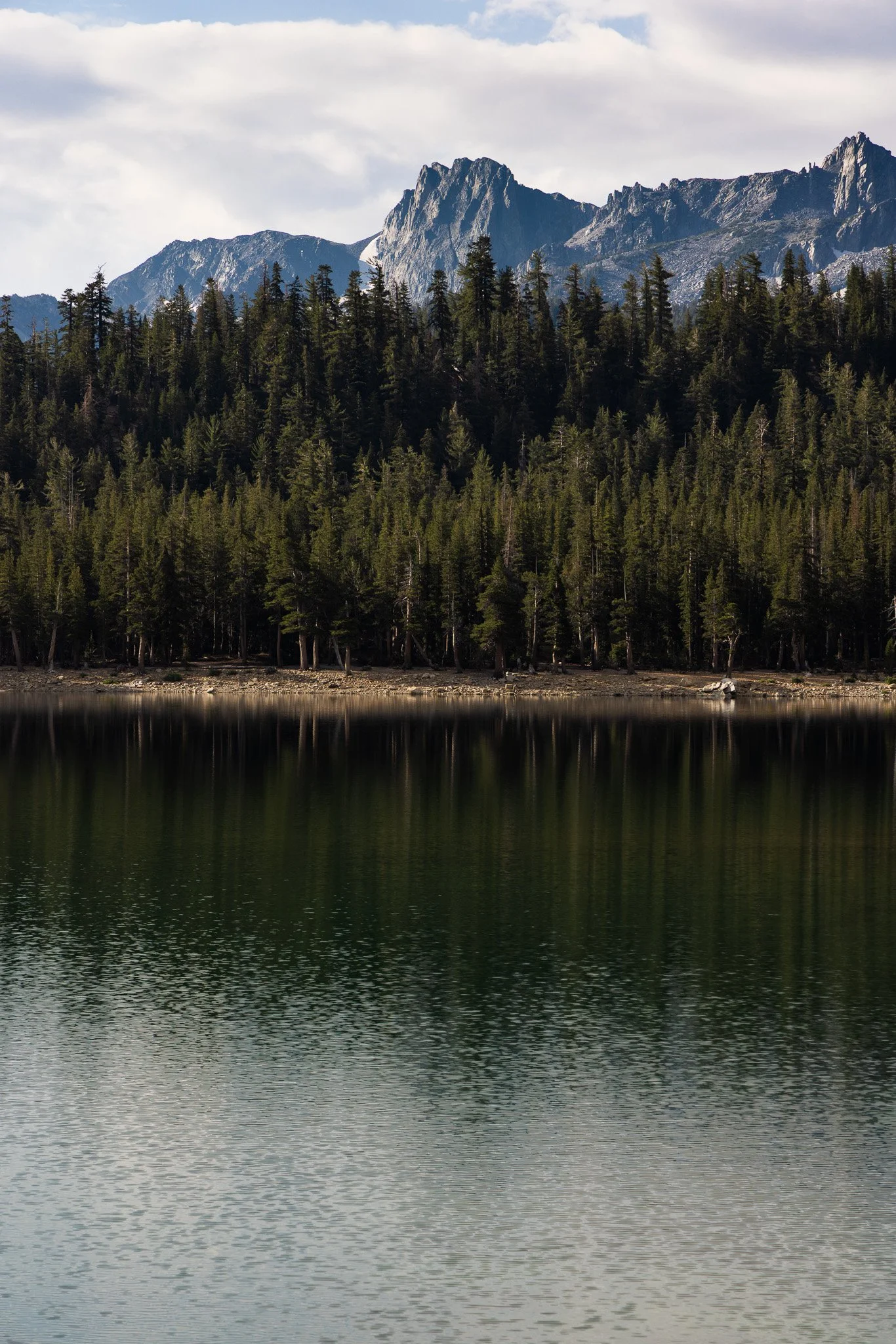 f/8  |  1/125  |  105mm