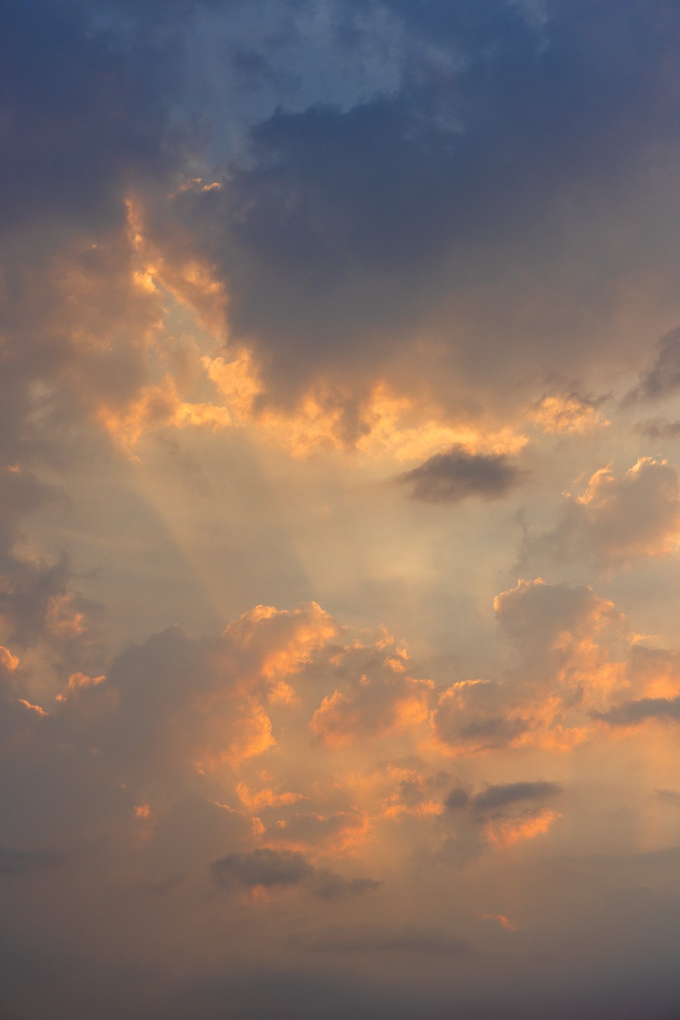 f/8  |  1/125  |  67mm