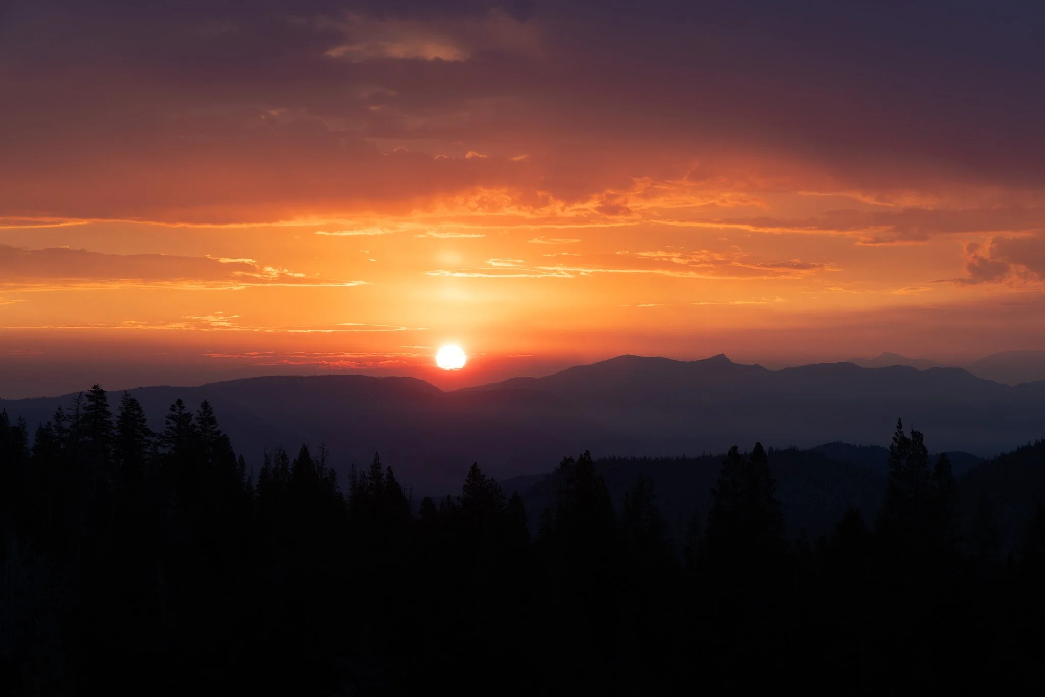 f/8  |  1/40  |  105mm