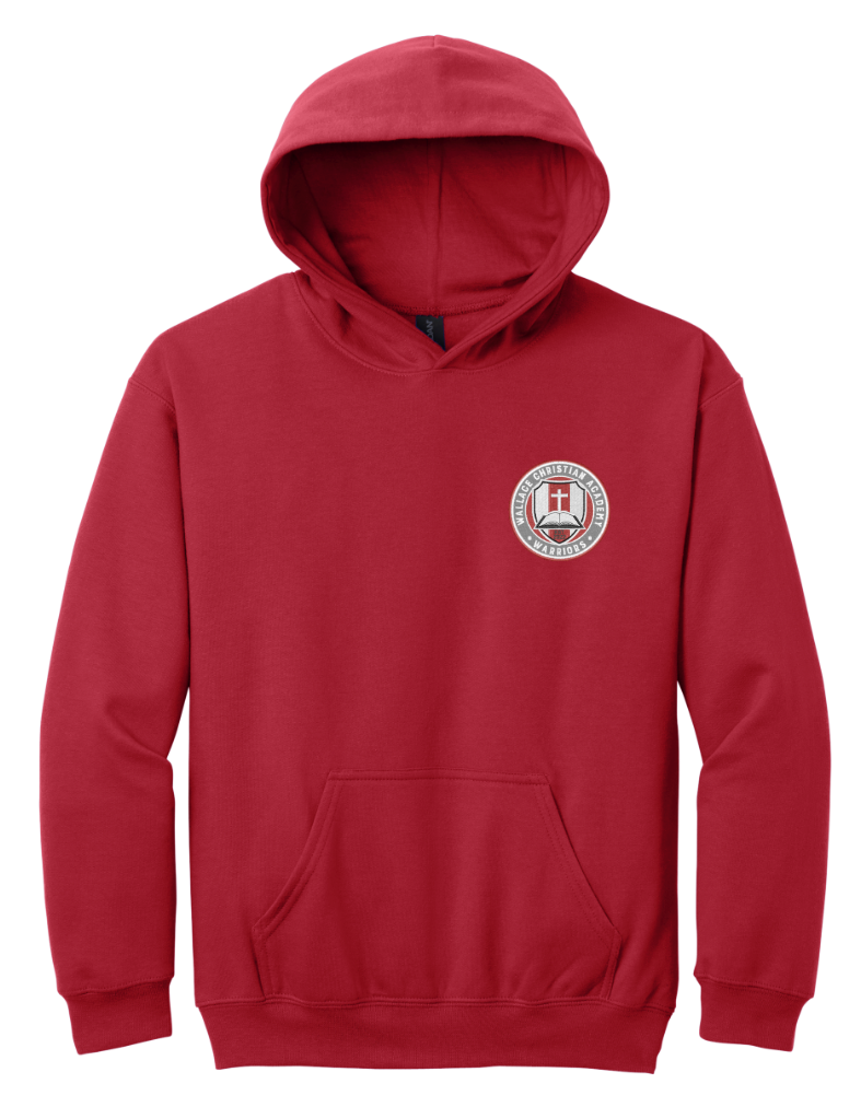 Youth Softstyle Embroidered Pullover Hoodie