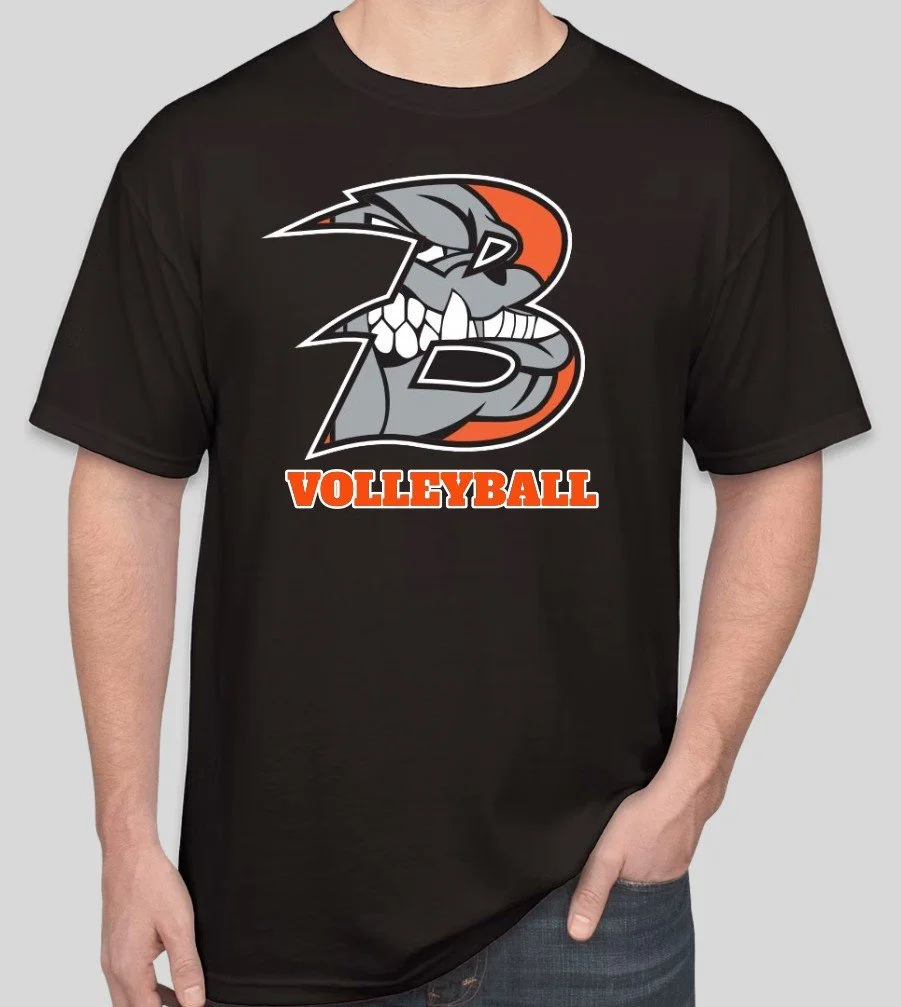 BlackVolleyball.jpg