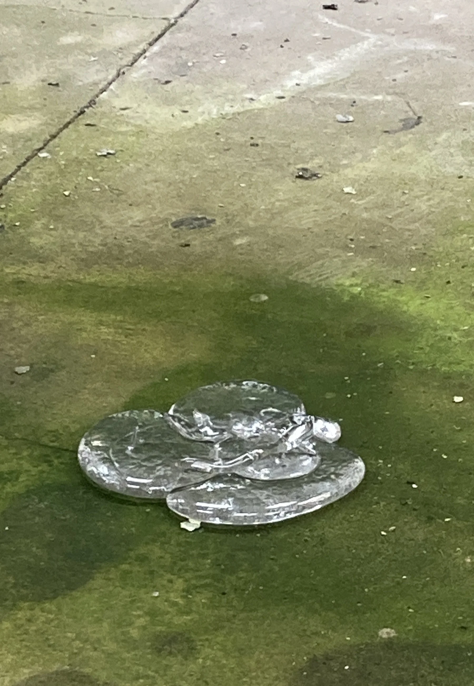 longing, detaljee.JPG