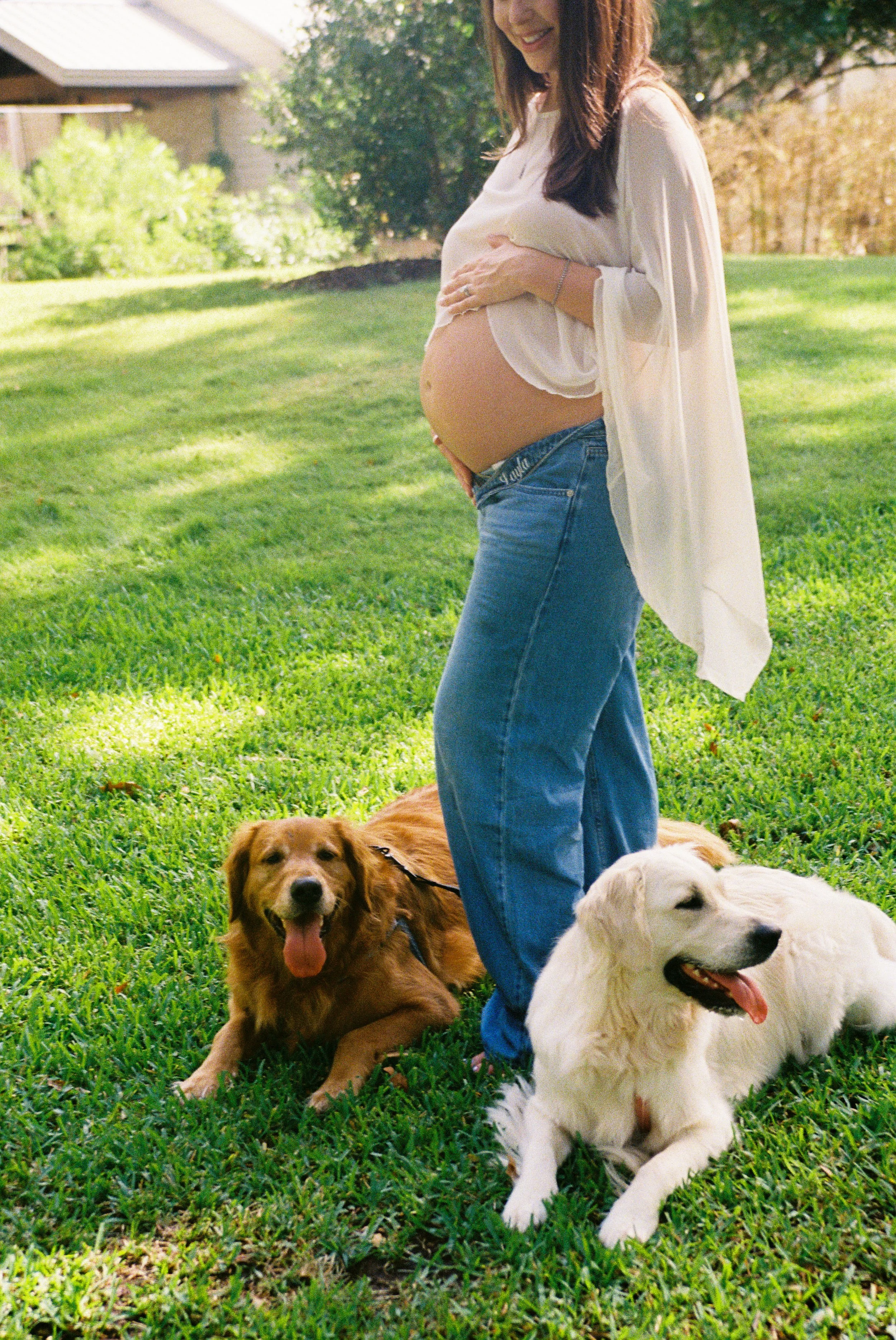 A pregnant woman standing outside on a sunny day, wearing a white top and jeans, with her hand on her belly, surrounded by three dogs sitting on green grass.