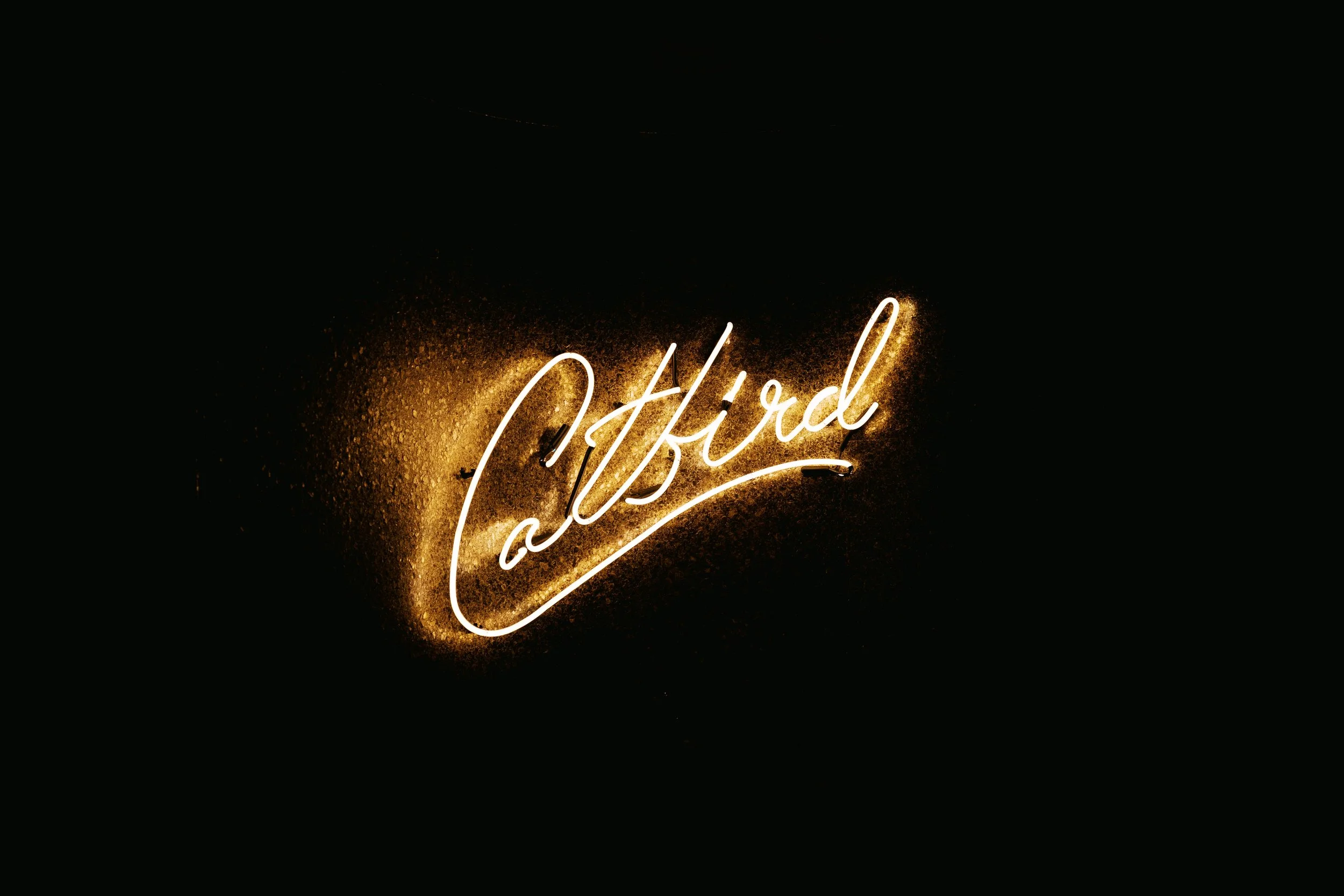 Catbird Dallas neon sign during 33rd birthday party event photography