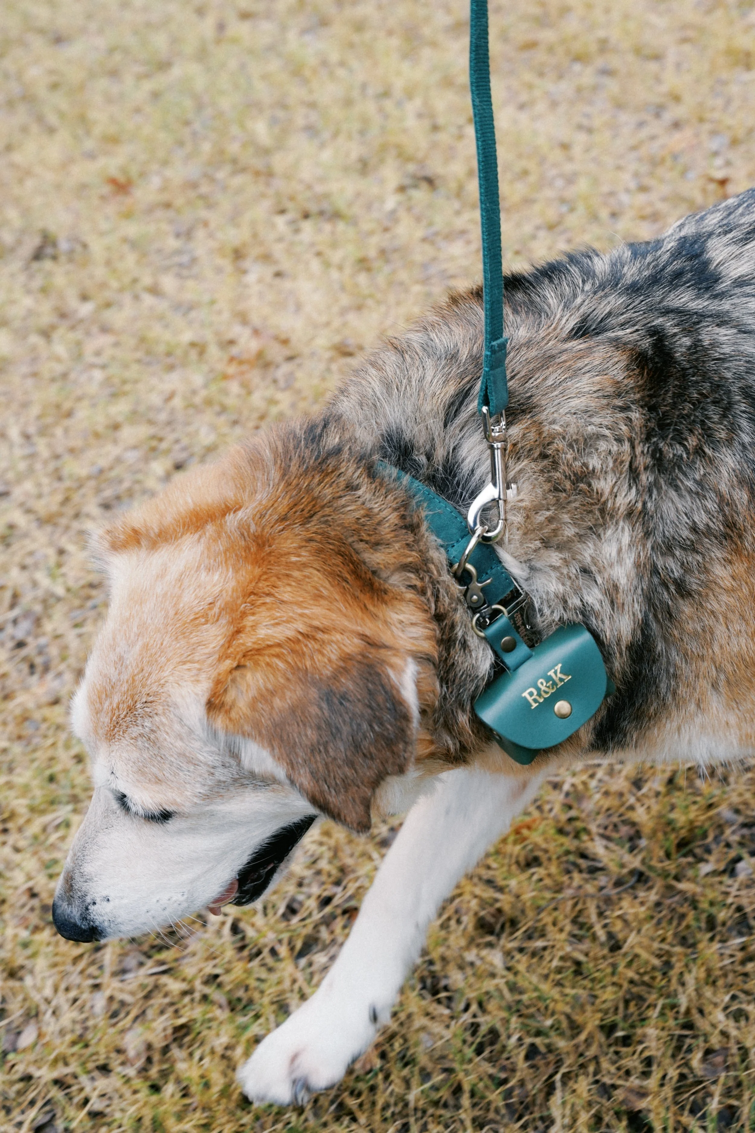 Winter elopement portraits outside at Heirloom Hideaway Fort Worth