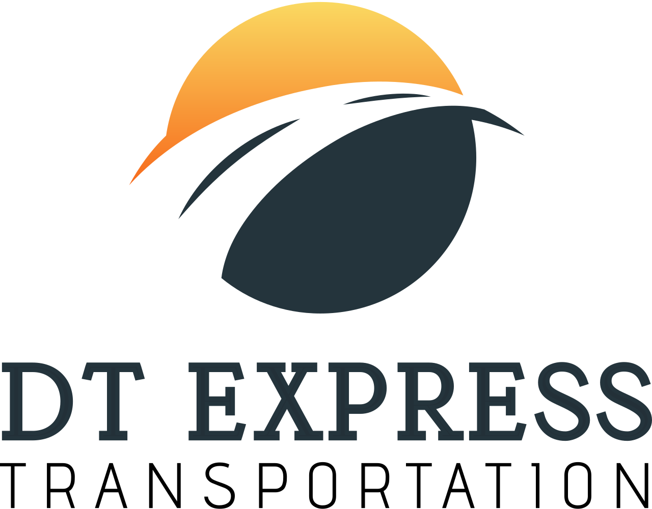 DT EXPRESS TRANSPORTATION
