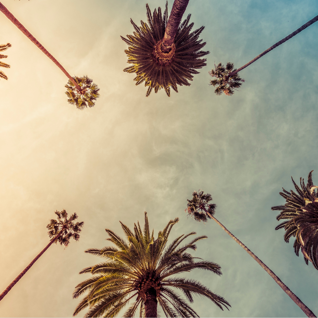 Rabkin Art Writers Meetup: LA's neighborhoods through photography and storytelling