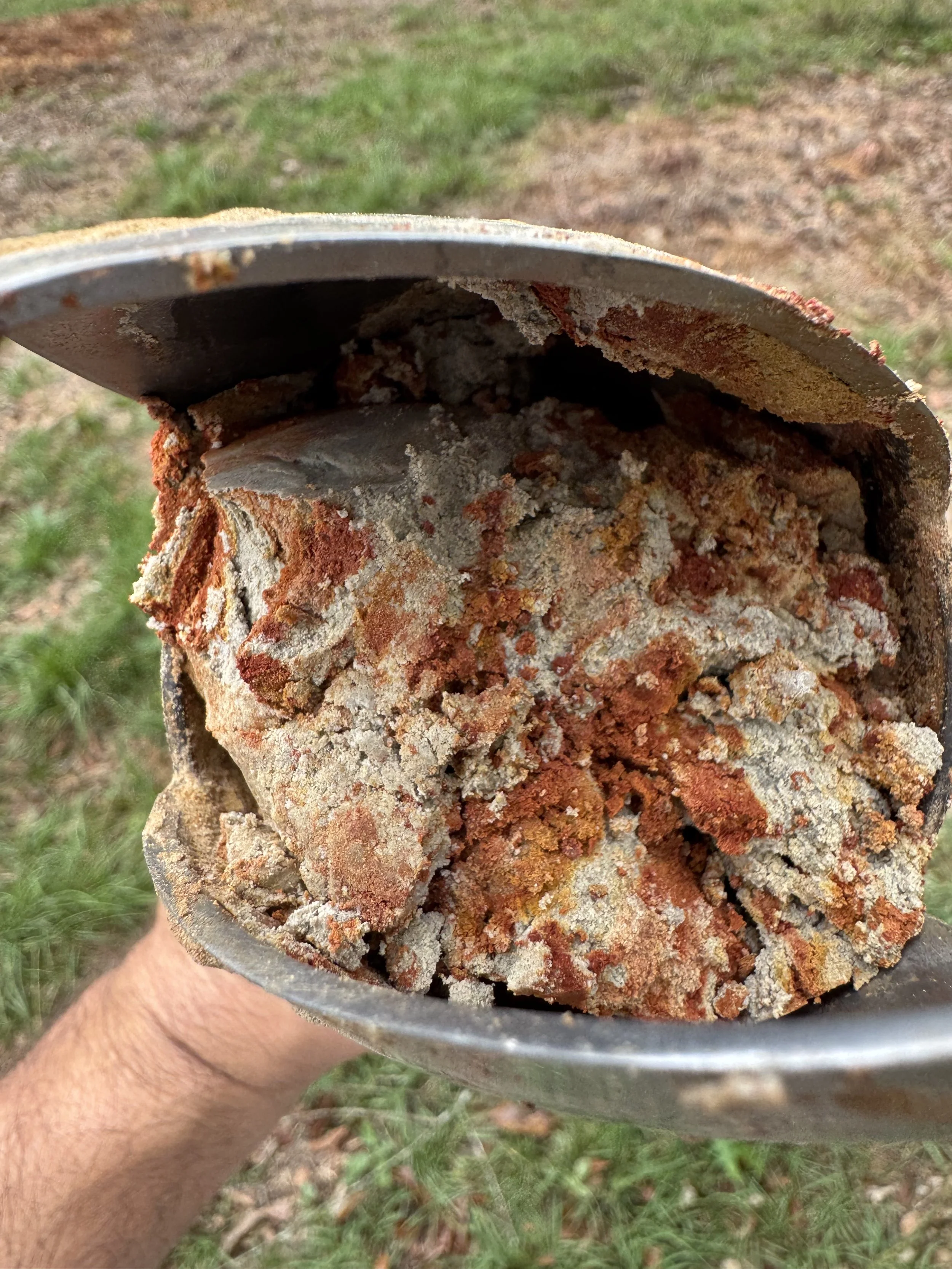 Why Septic Systems Fail in East Texas