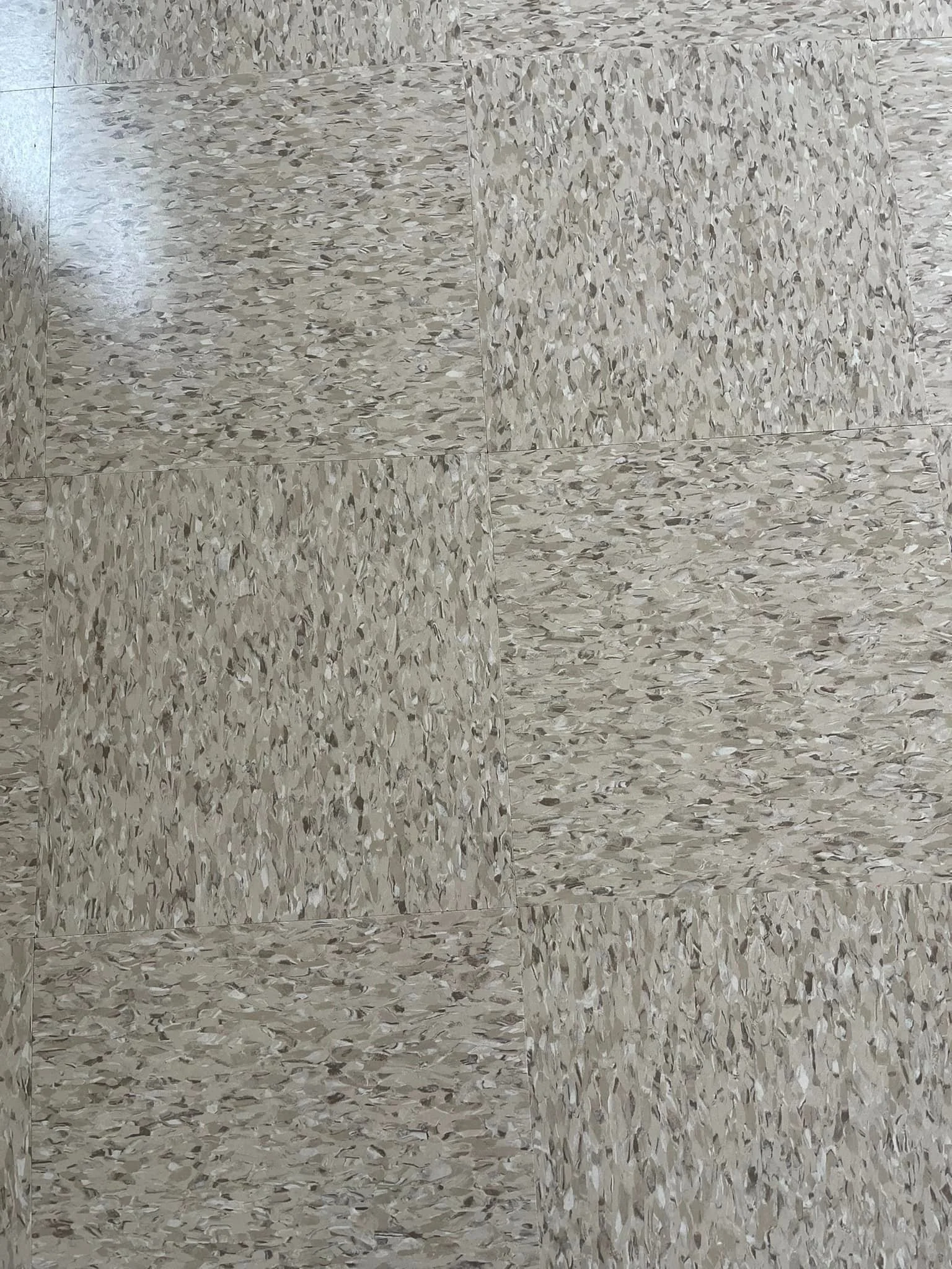 1 of 2 breezeways we completed. 2,300 sq ft of Armstrong Standard Excelon 51901 Taupe. We also applied 3 coats of Betco Hard As Nails floor finish. Finished off with Johnsonite 29 Moonrock rubber base.