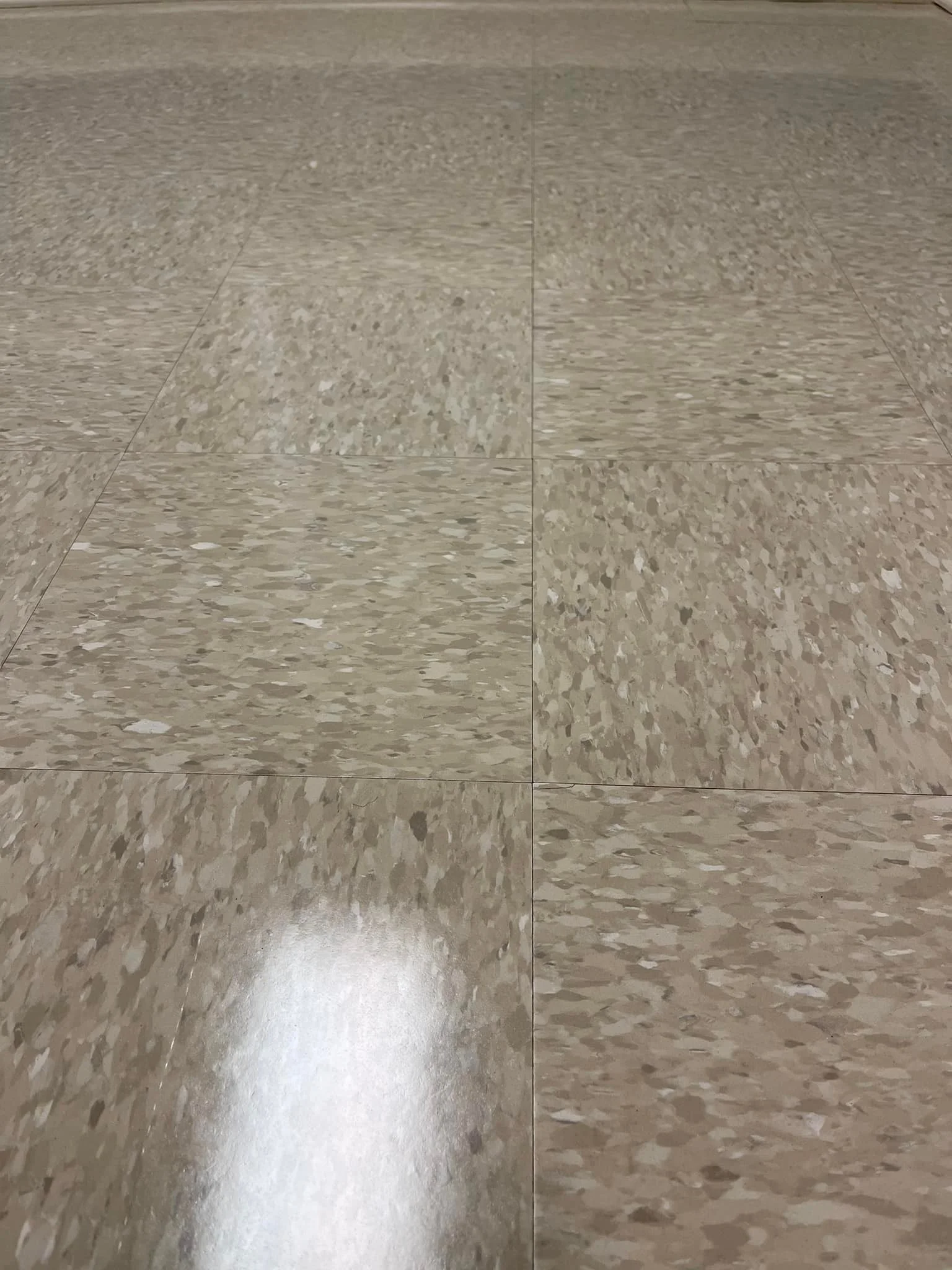 About 1,000 sqft of Interface - Studio Set - A00705 Titanium. We also stripped and waxed all of the VCT to restore some new life in it. HUGE thanks to Alabama Colon & Gastro, P.C. for the work! 