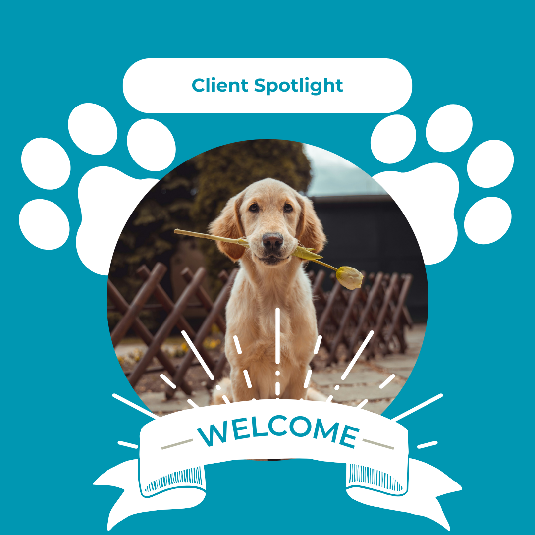 pet-care-services-boarding-pend-oreille-pet-lodge