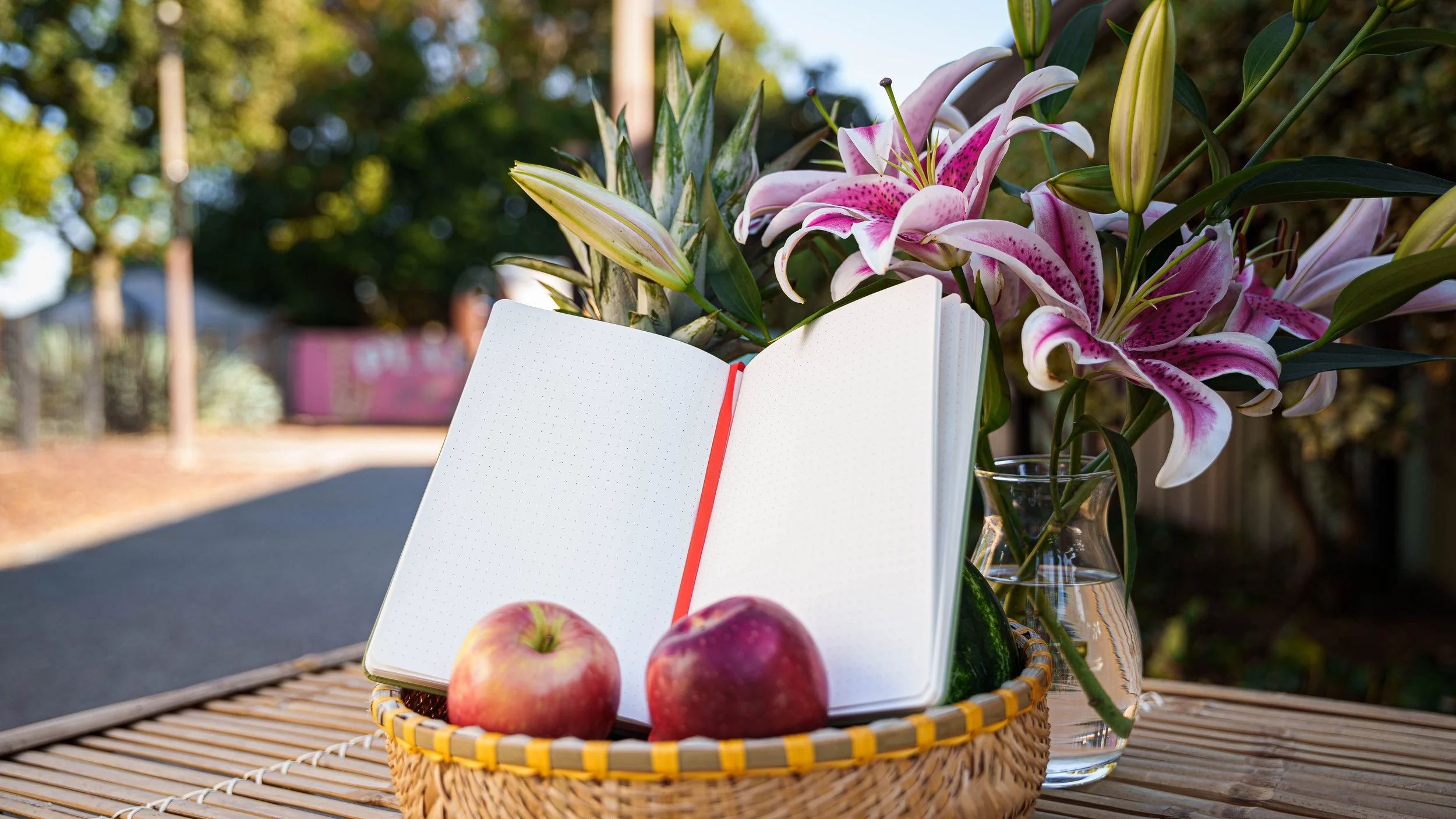 An Qua Notebooks-10.jpg
