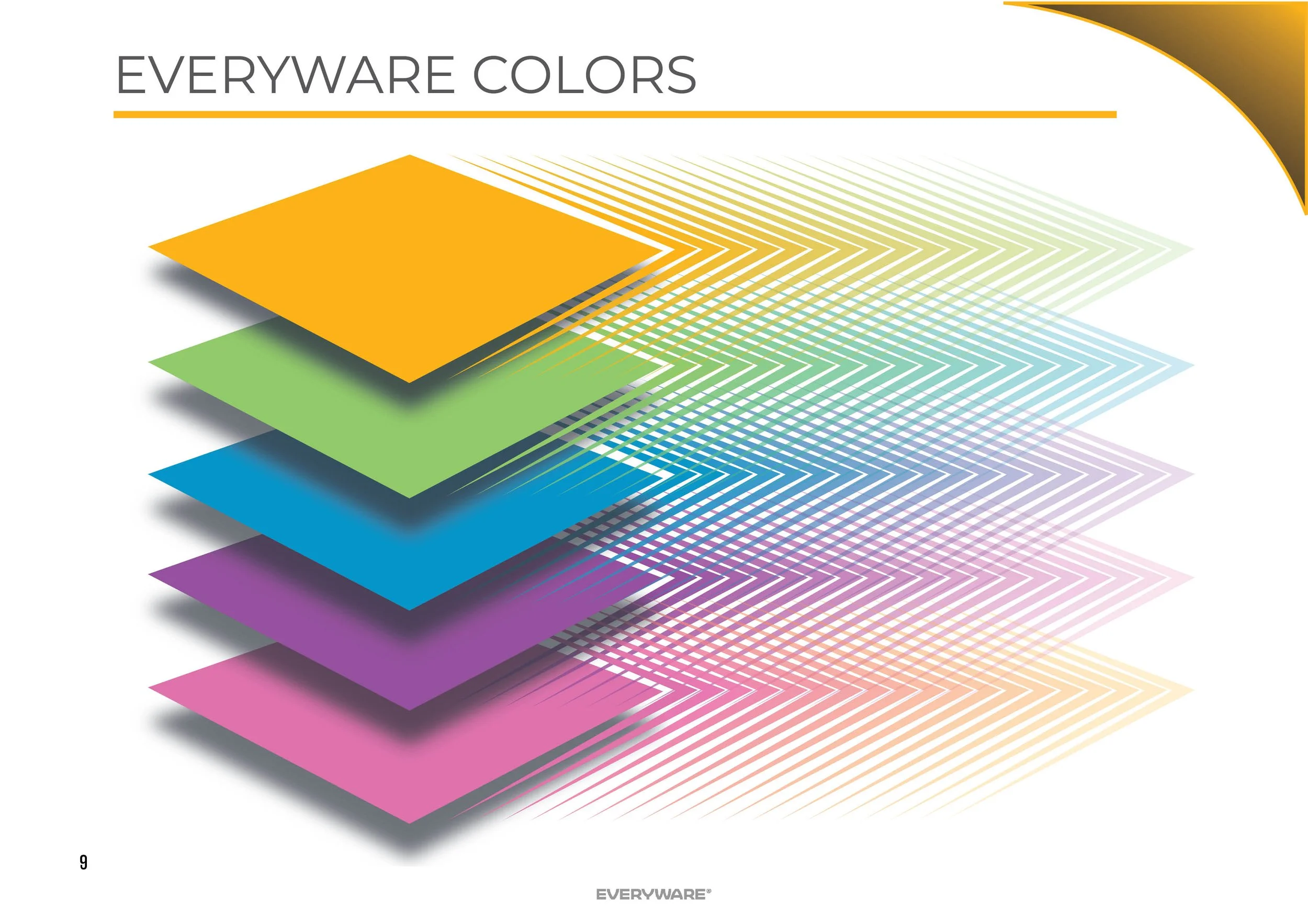 Everyware Brand Guide10.jpg