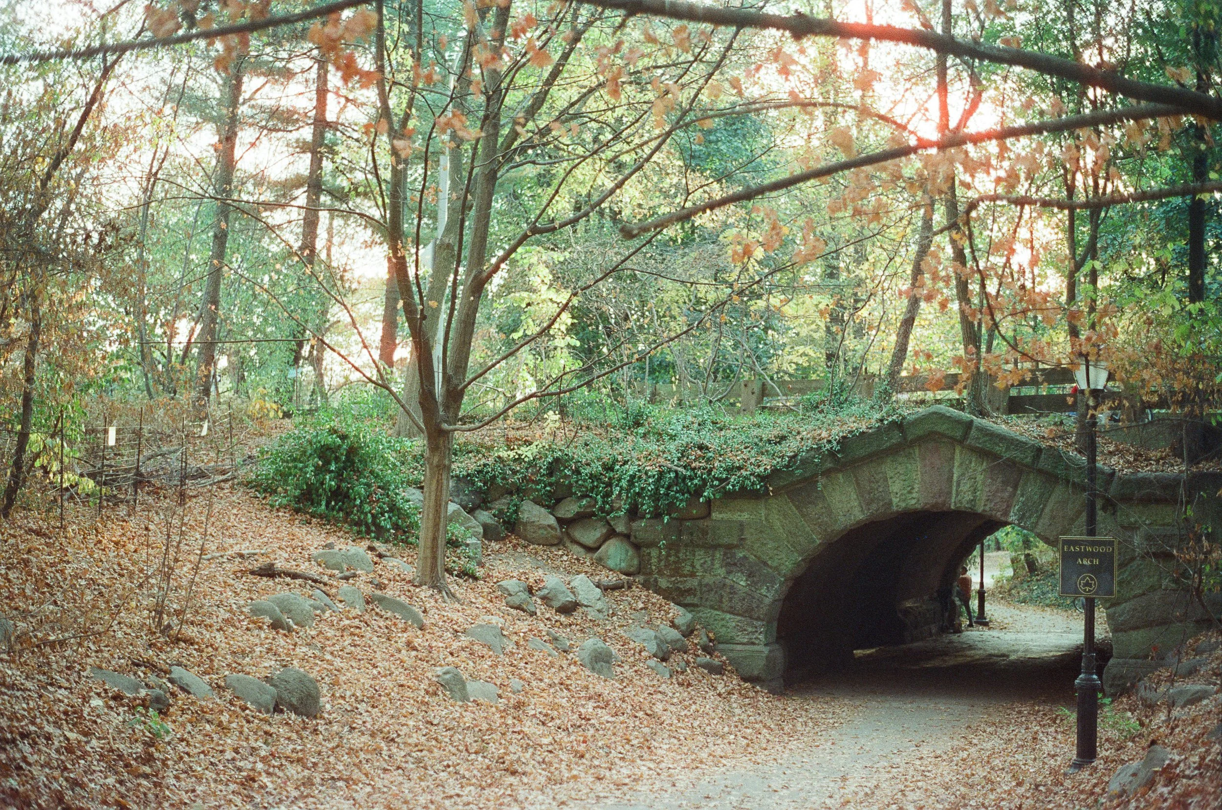 Bridge in Prospect.jpg