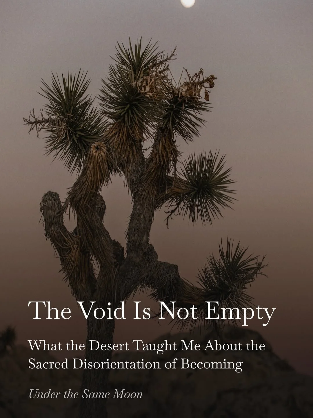 New Substack post 🌵🌑✨ Link in bio for full essay