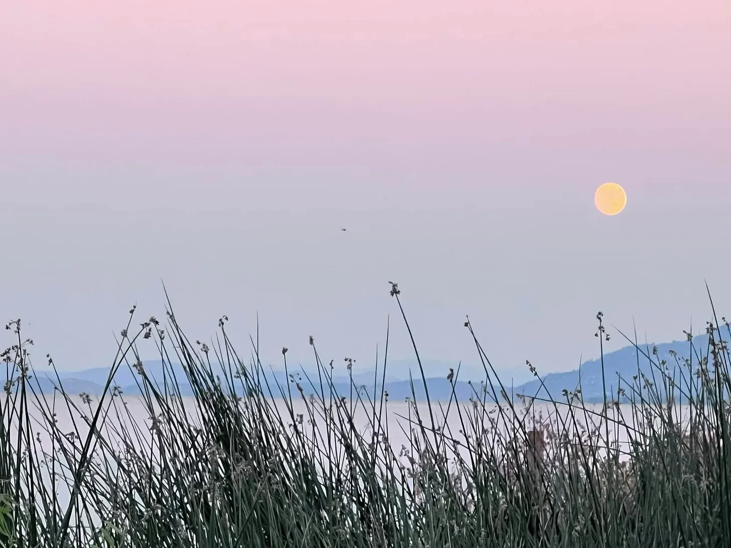 The Summer Beneath Every Summer