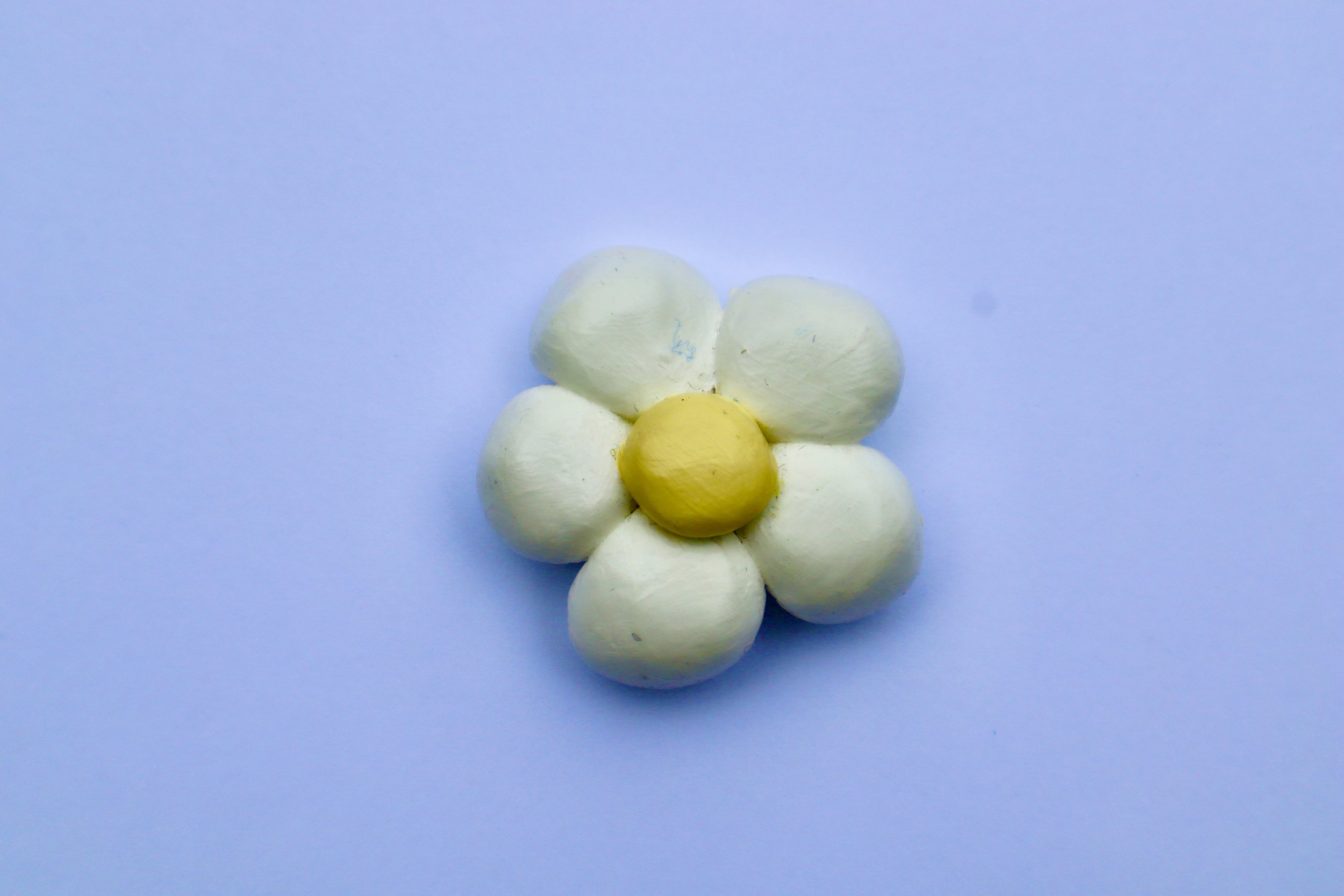 Daisy