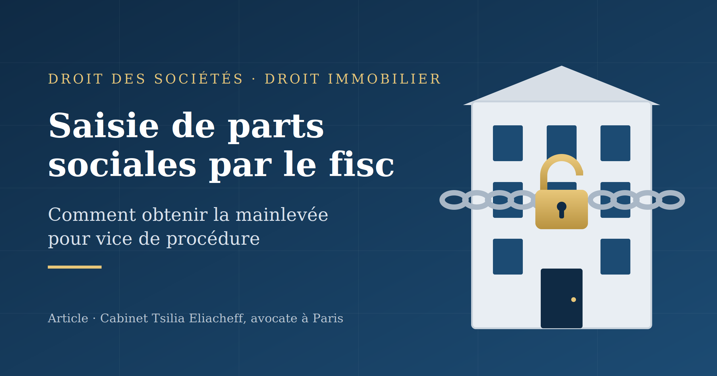 Saisie de vos parts de société par  le Trésor public : comment obtenir la mainlevée