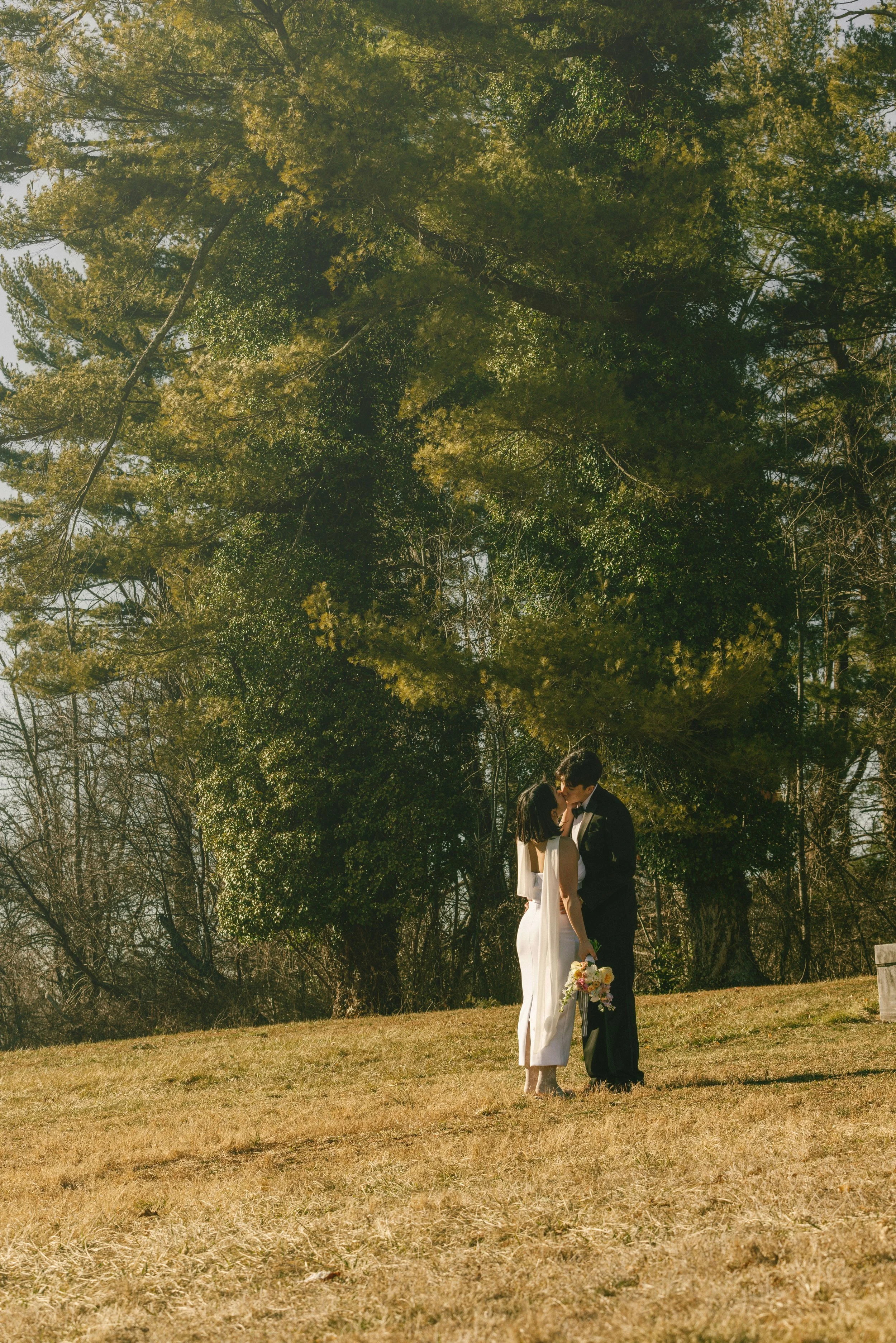 light versin 小黨.jpg