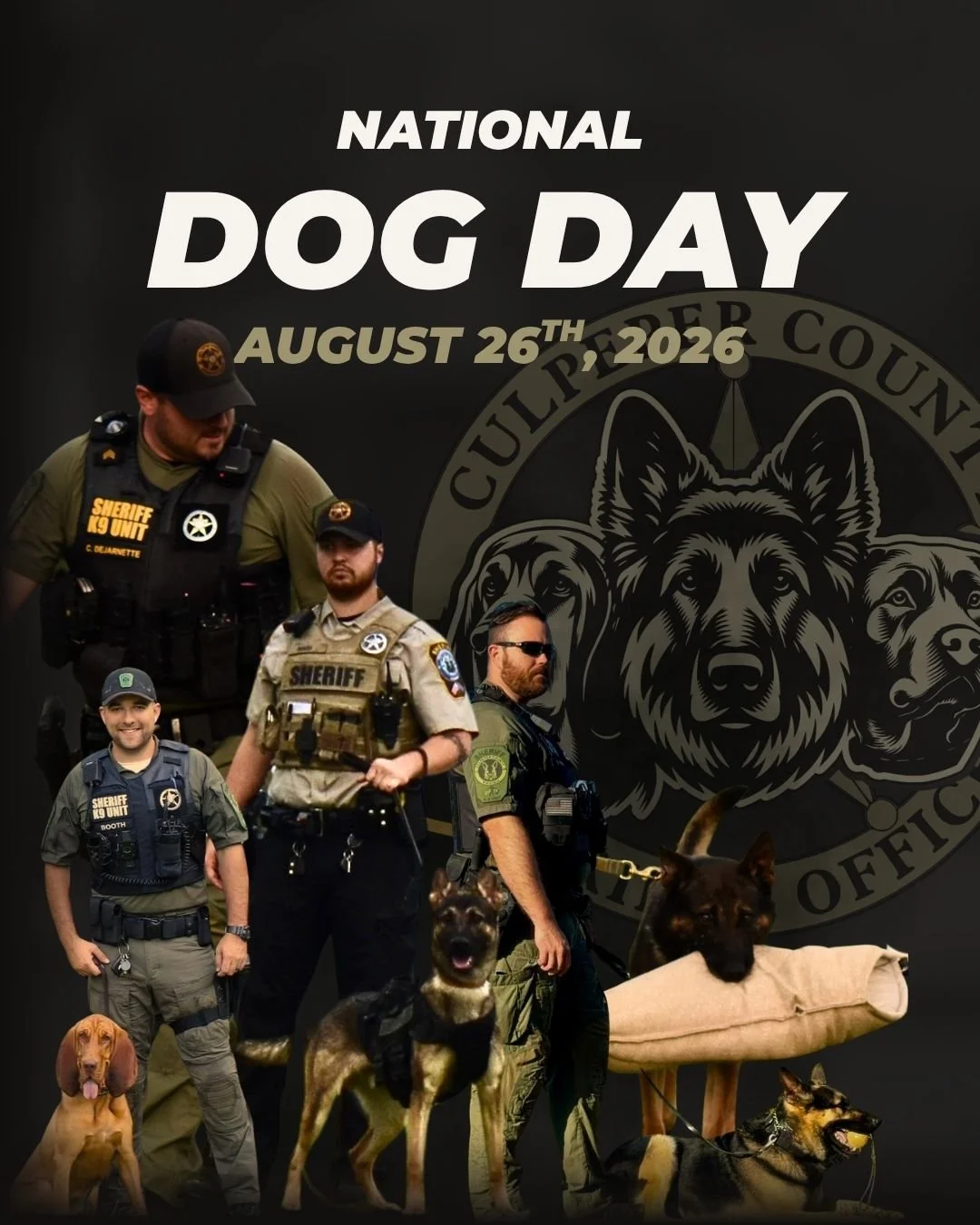 Happy National Dog Day to our CCSO K-9 unit! 🐕

Our K-9s play a vital role in protecting Culpeper County every single day. From tracking missing persons and locating critical evidence to detecting illegal narcotics and keeping our schools safe, thes