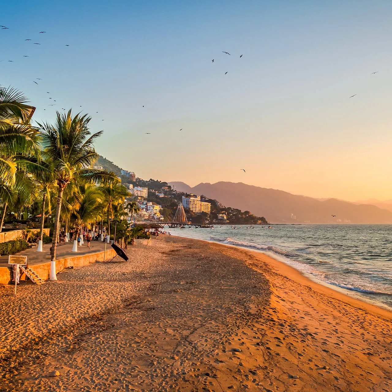 stunning cenotes and explore Chichen Itza with our expert guides.