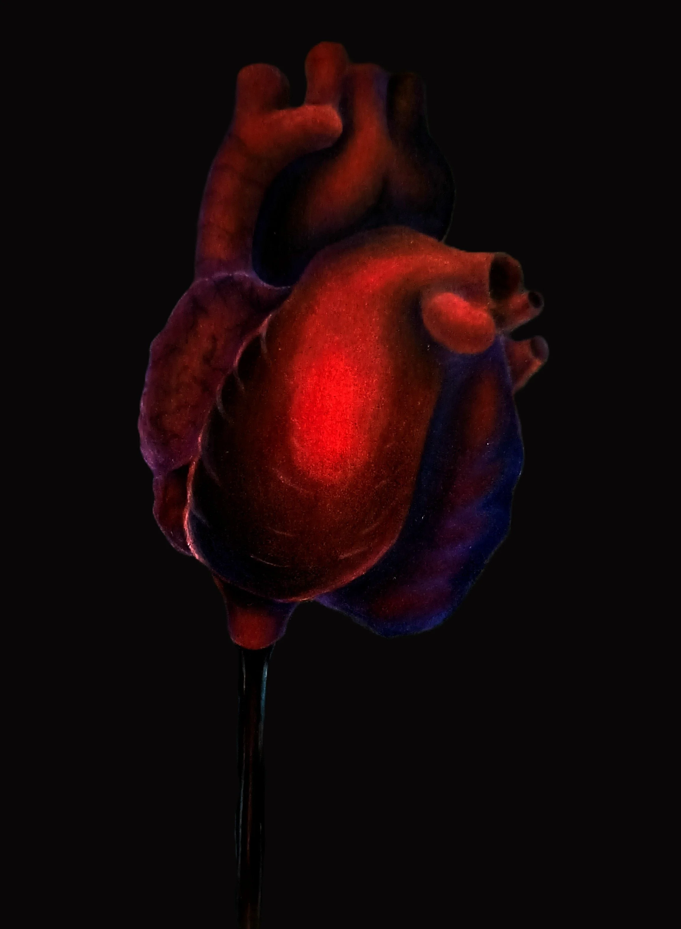 "Bleeding Heart" / 2023 / 5” x 7” / Colored pencil