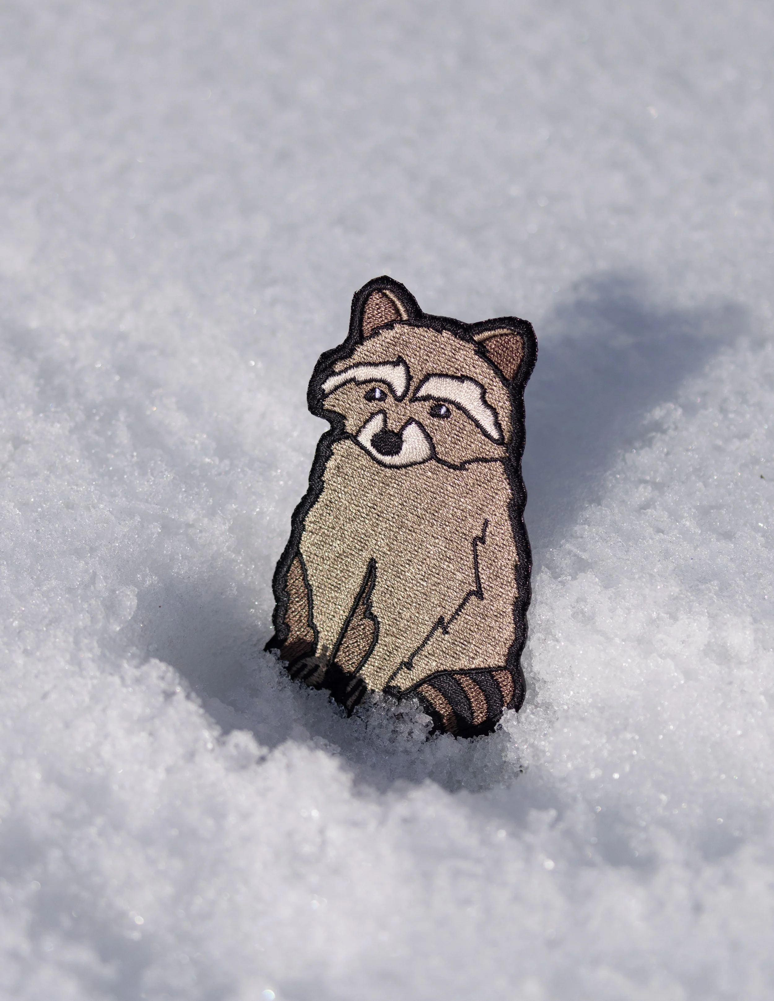 Raccoon Patch