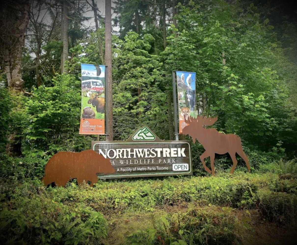 NORTHWEST TREK FIELD TRIP