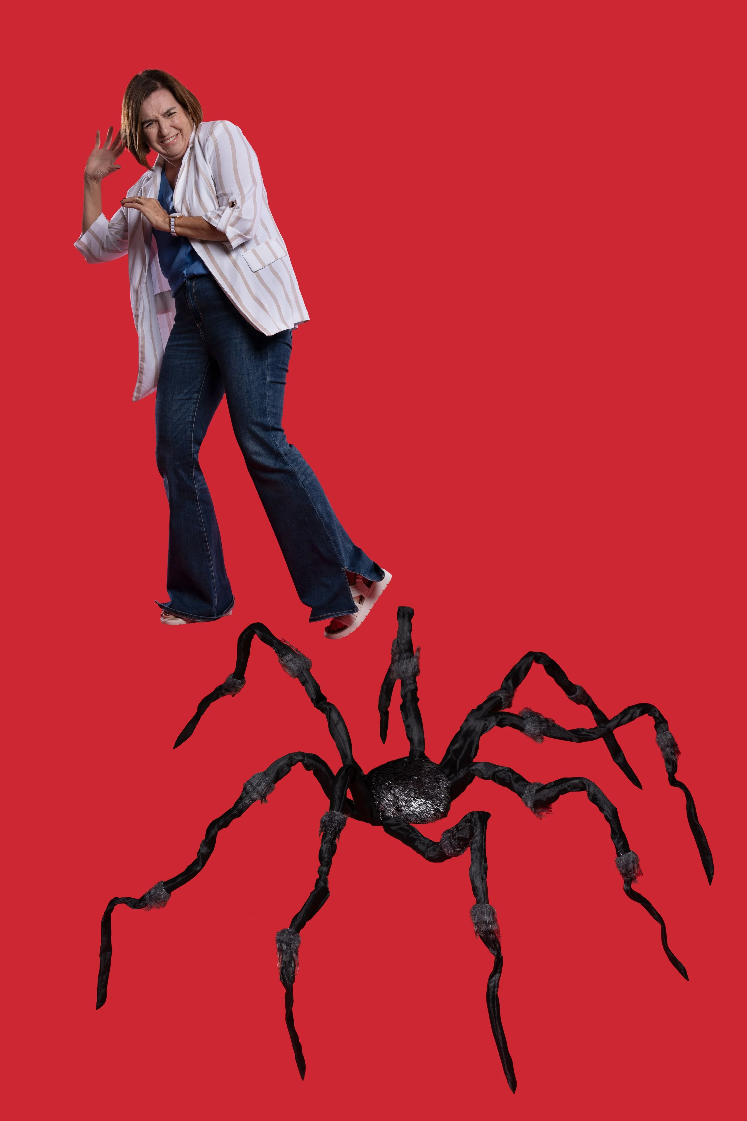 LA ARAÑA
