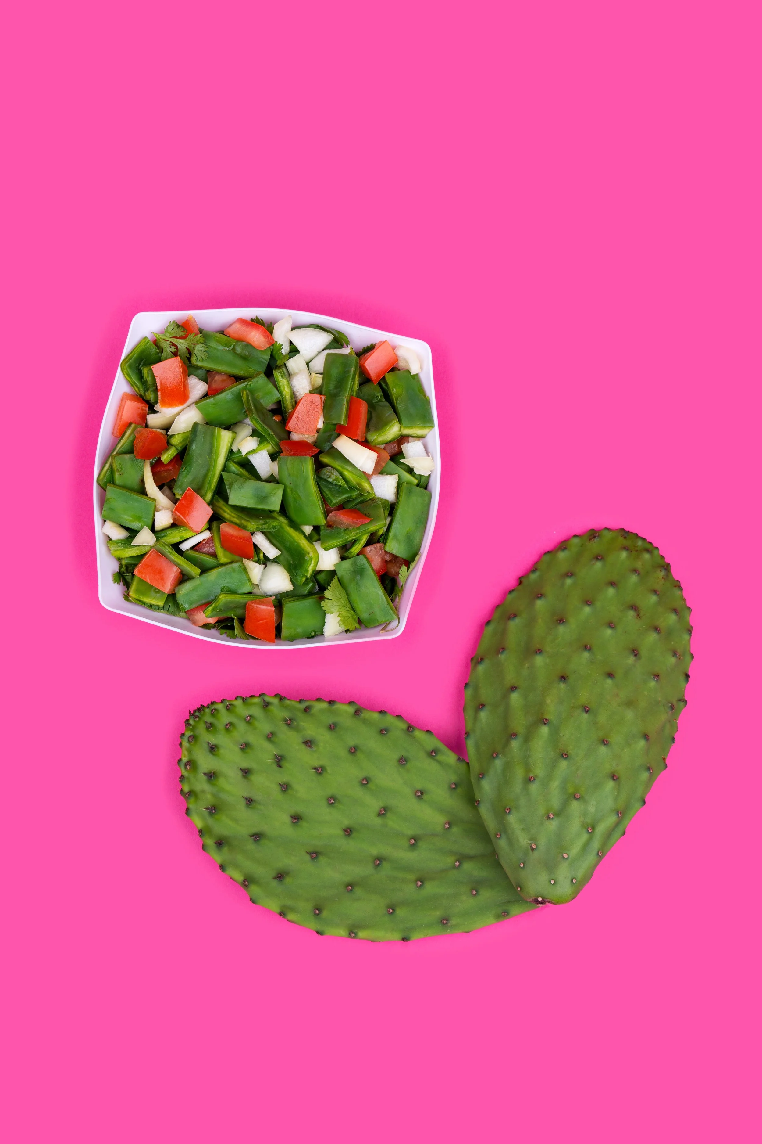 EL NOPAL
