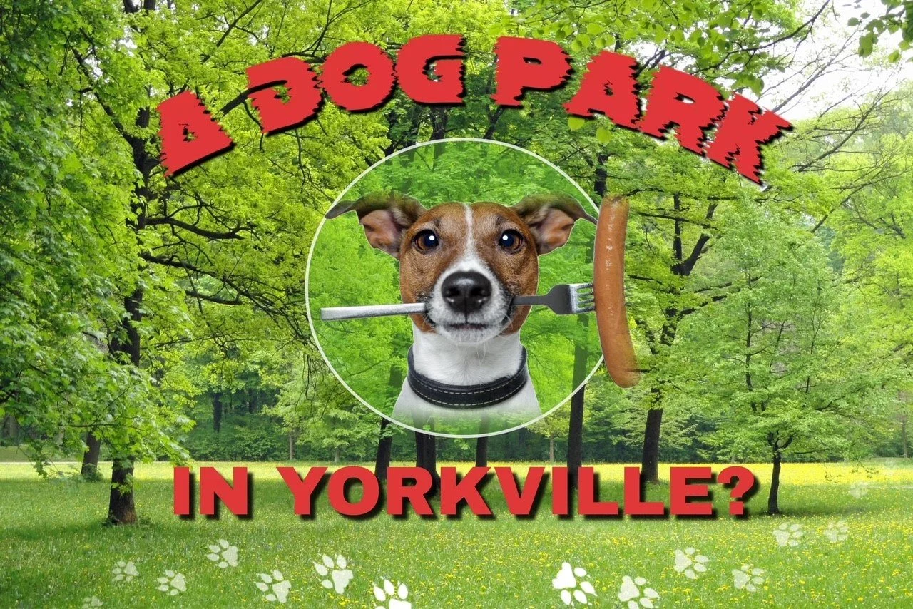 Dog Park in Yorkville?