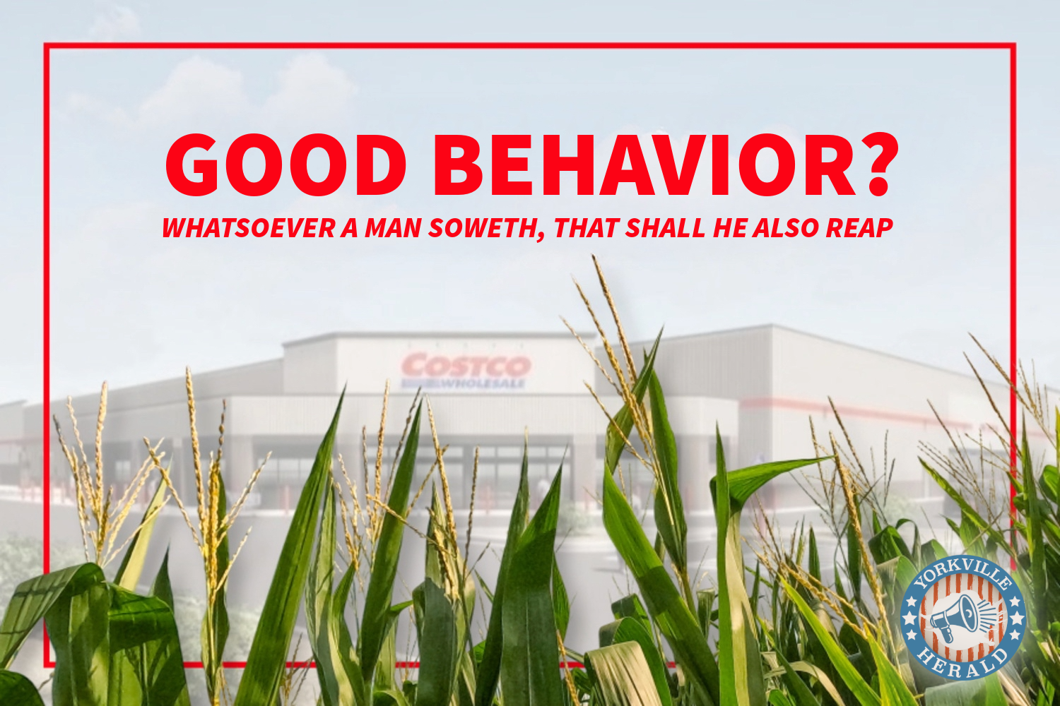 Good Behavior?