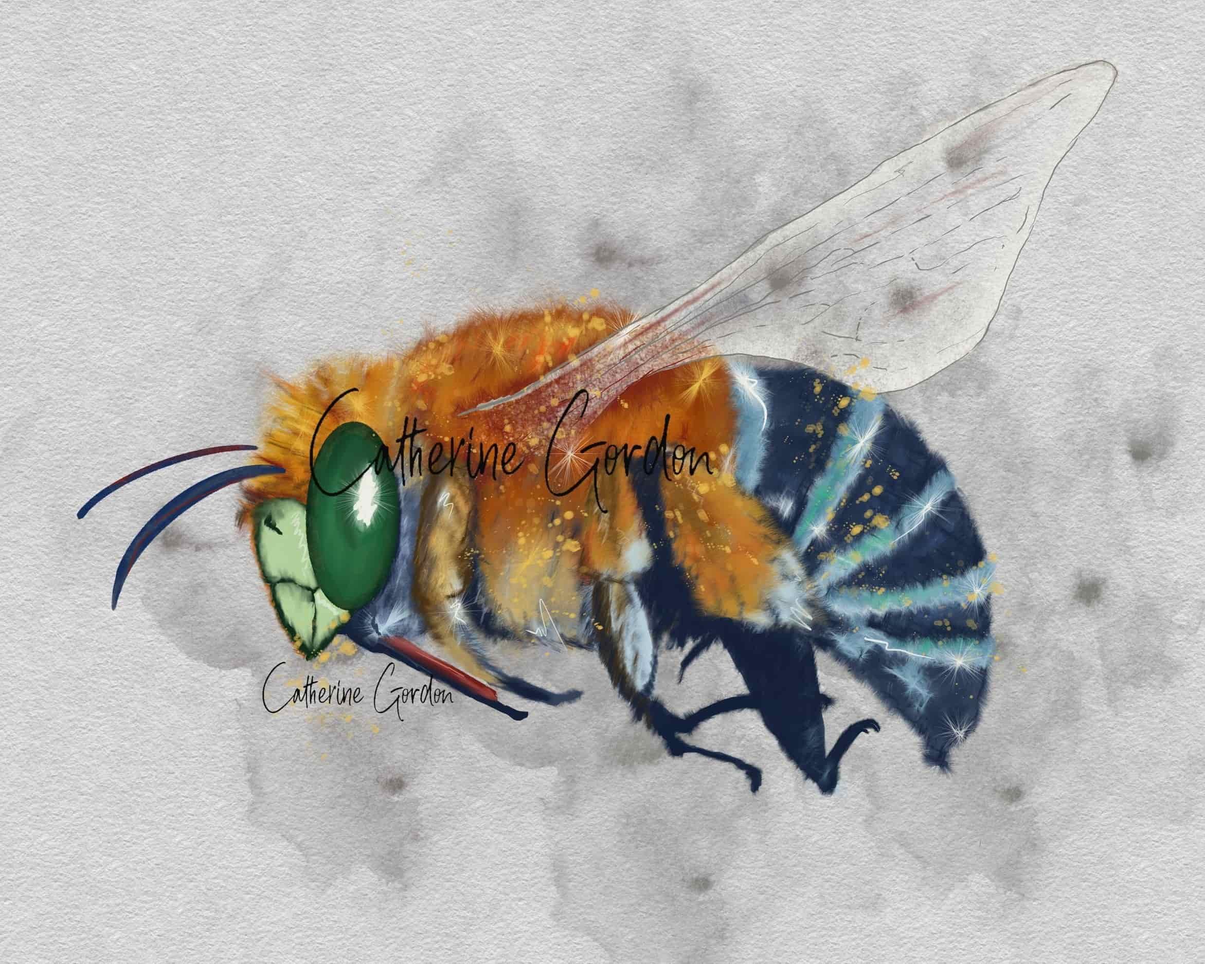 Compressed JPG WM DS Blue Banded Bee Side View-min V2.jpg