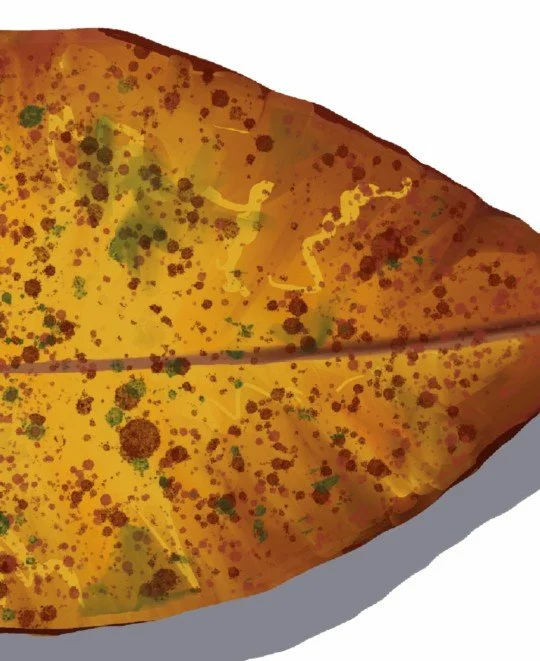 Yellow Leaf Clip.jpeg