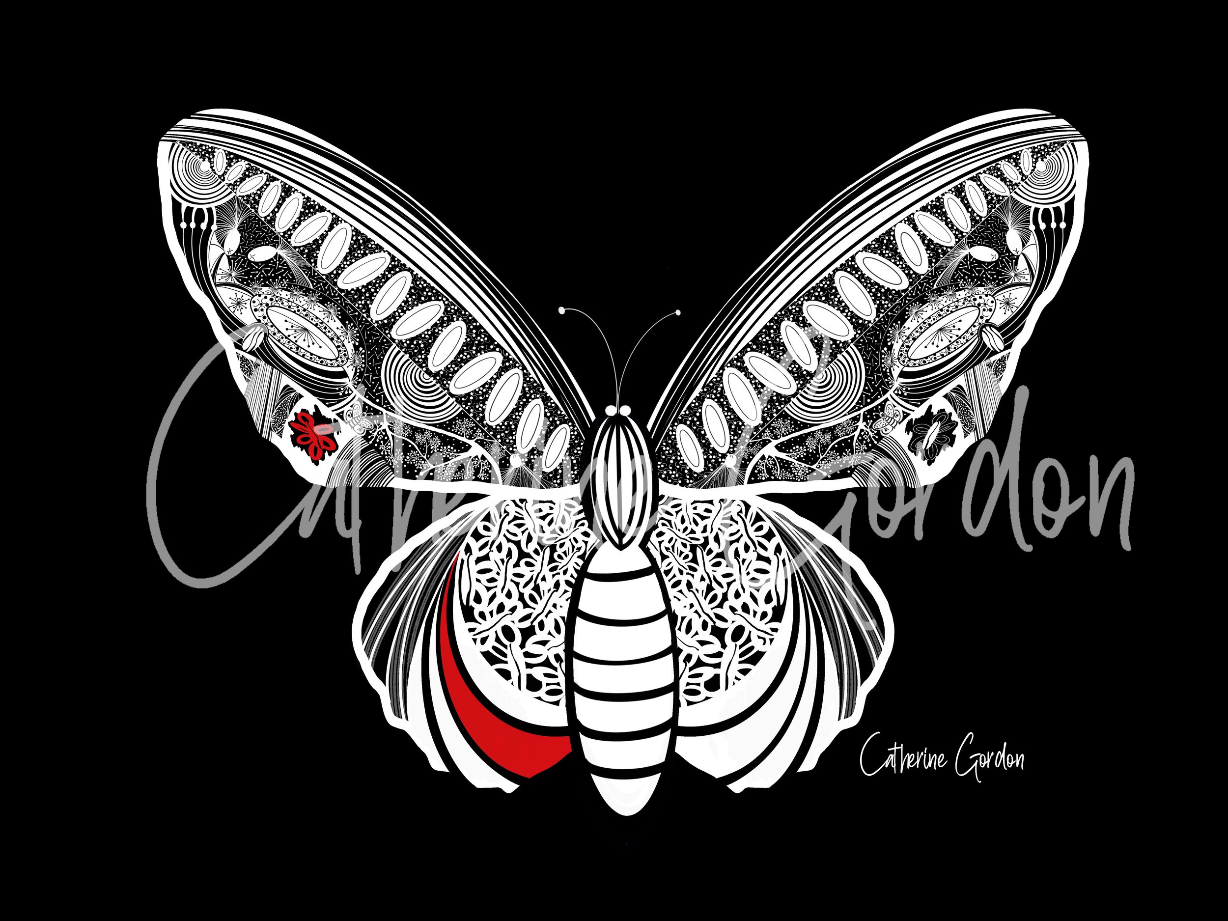 WM Butterfly Black BG Red .jpg