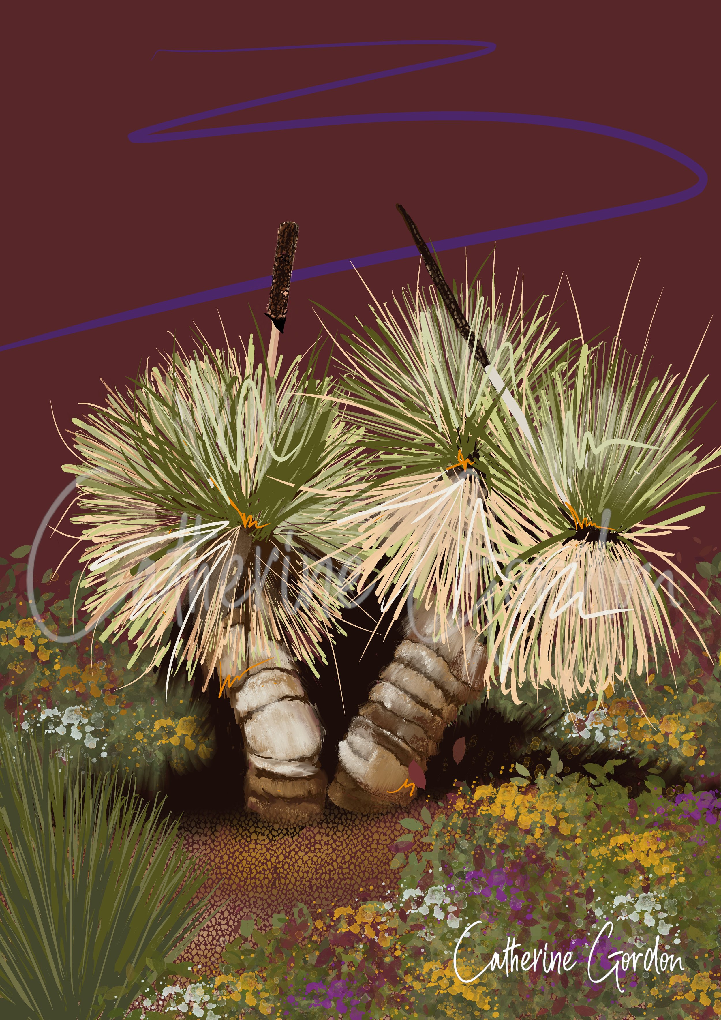 WM Desert_In_Bloom JPG.jpg