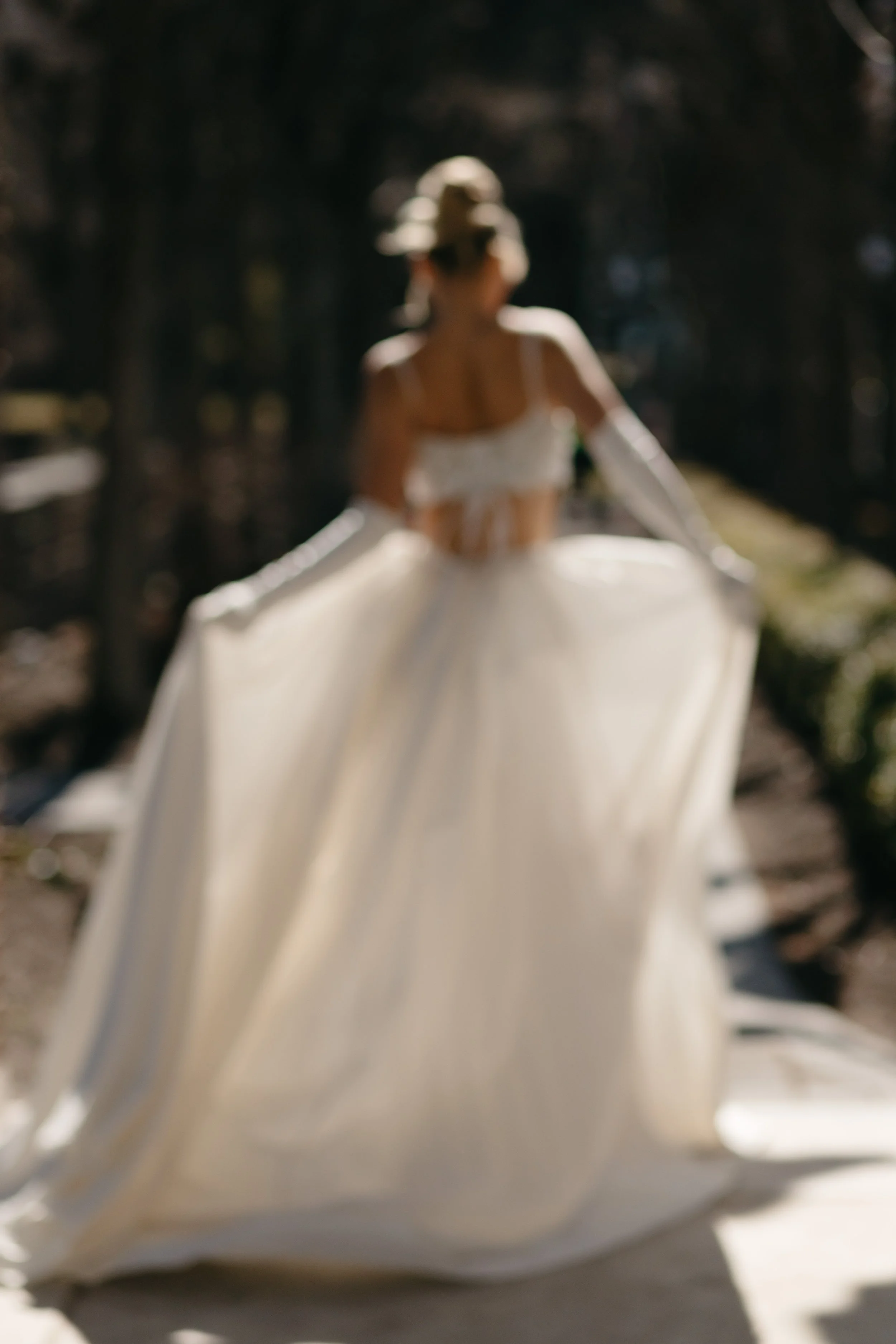 bride back lit by sunlight