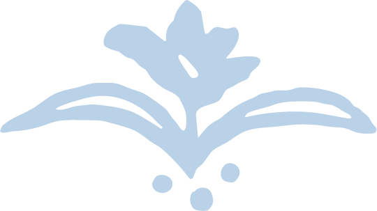 A stylized blue illustration of a flower with leaves and small berries.