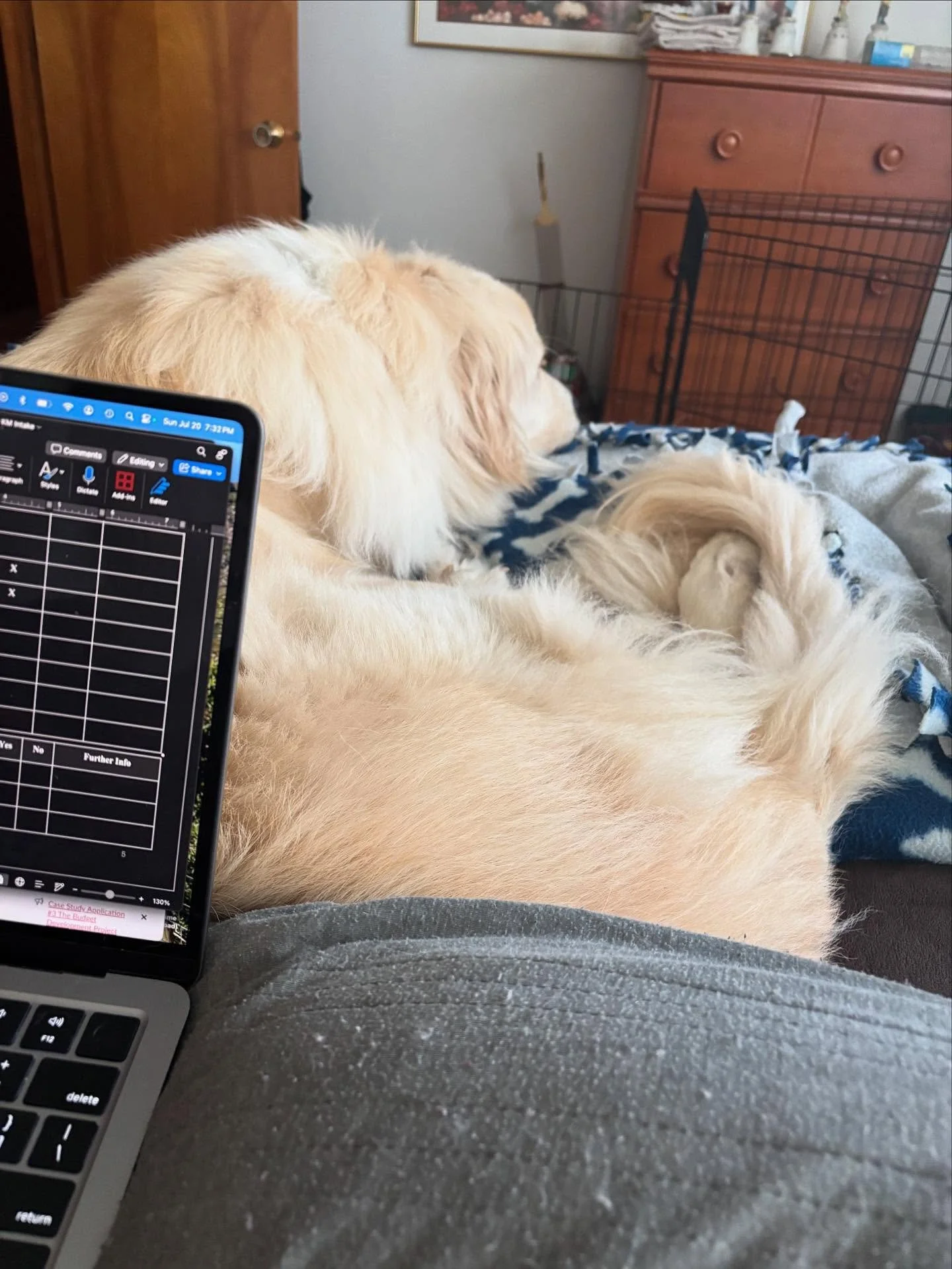 Traveling office and my business manager hard at work for me