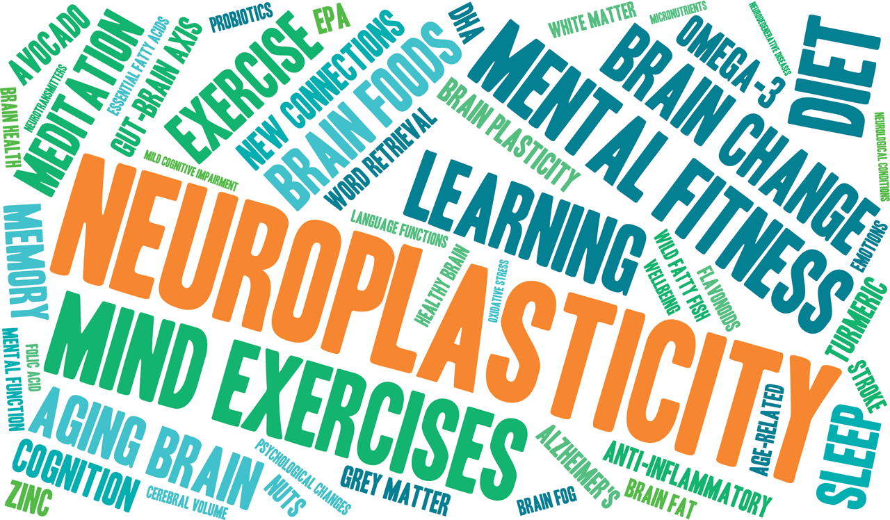 Unlock Your Brain's Potential: The Role of a Neuroscience Coach in Neuroplasticity