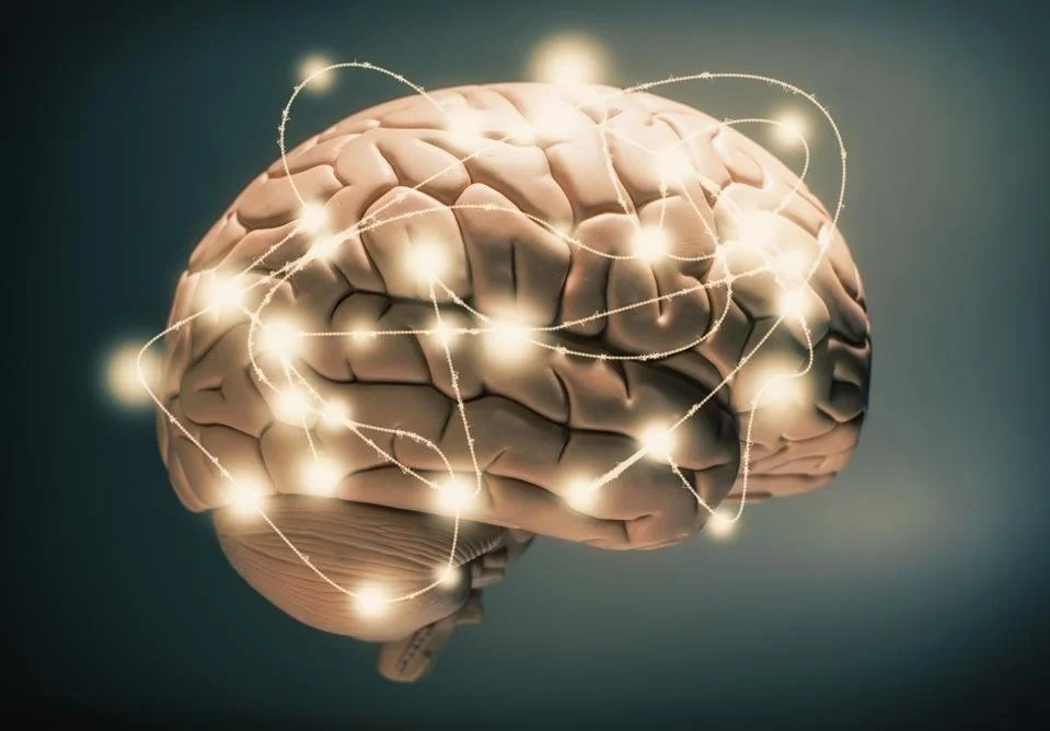 The Science of Smart Choices: How a Neuroscience Coach Unlocks Better Decision-Making